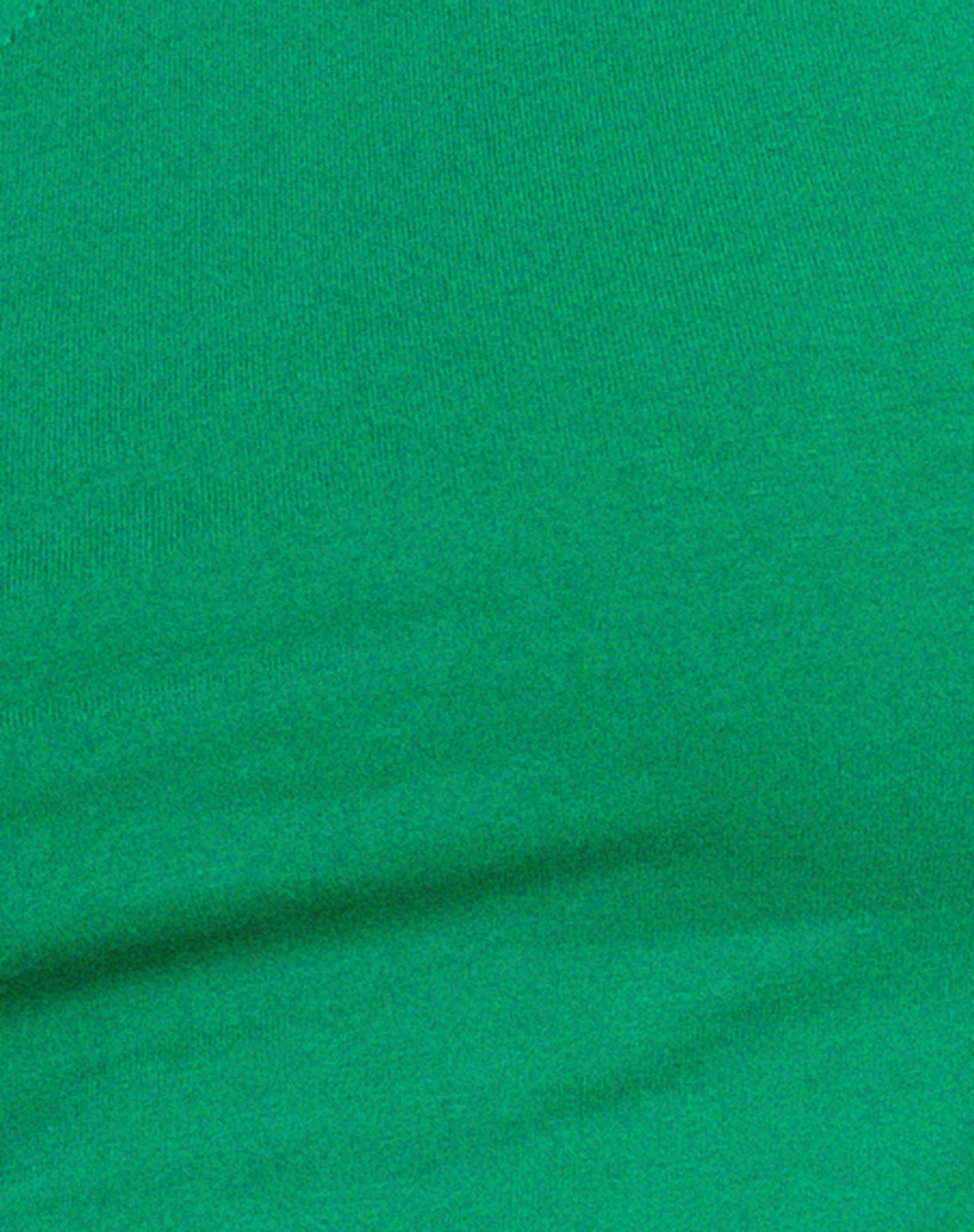 Baylee Crop Top in Bush Green sold by Motel Rocks product image thumbnail 5