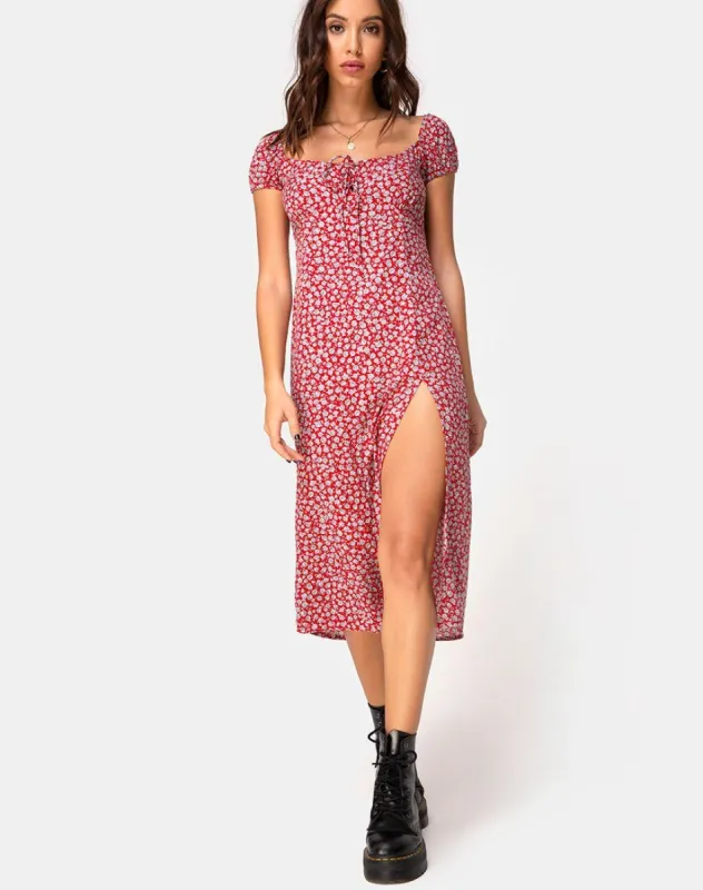 Milla Dress in Ditsy Rose Red Silver sold by Motel Rocks