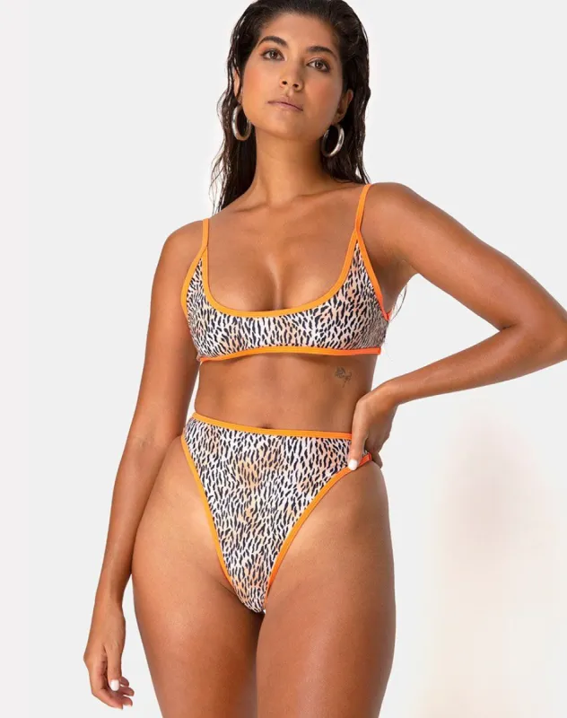 Sikila Top Bikini in Mini Tiger with Orange Binds sold by Motel Rocks