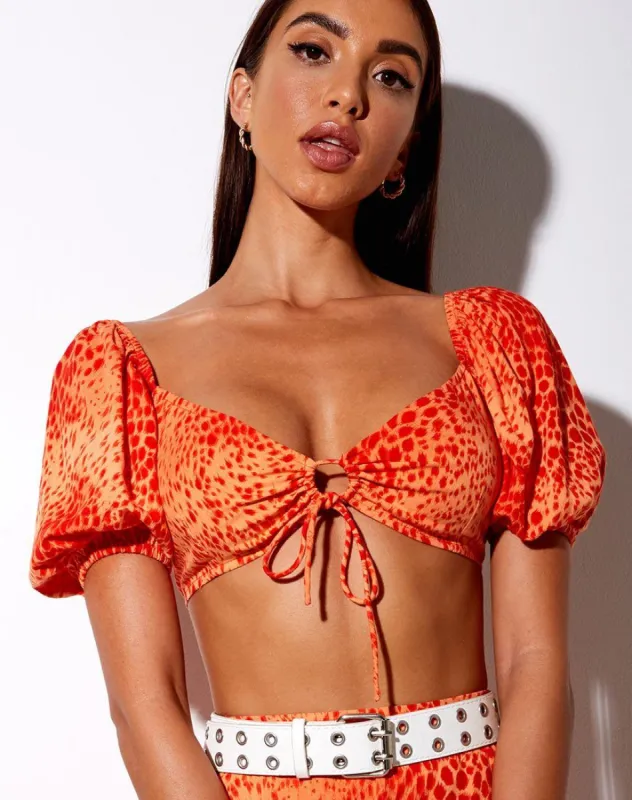 Chelin Crop Top in Gradient Cheetah Tangerine sold by Motel Rocks
