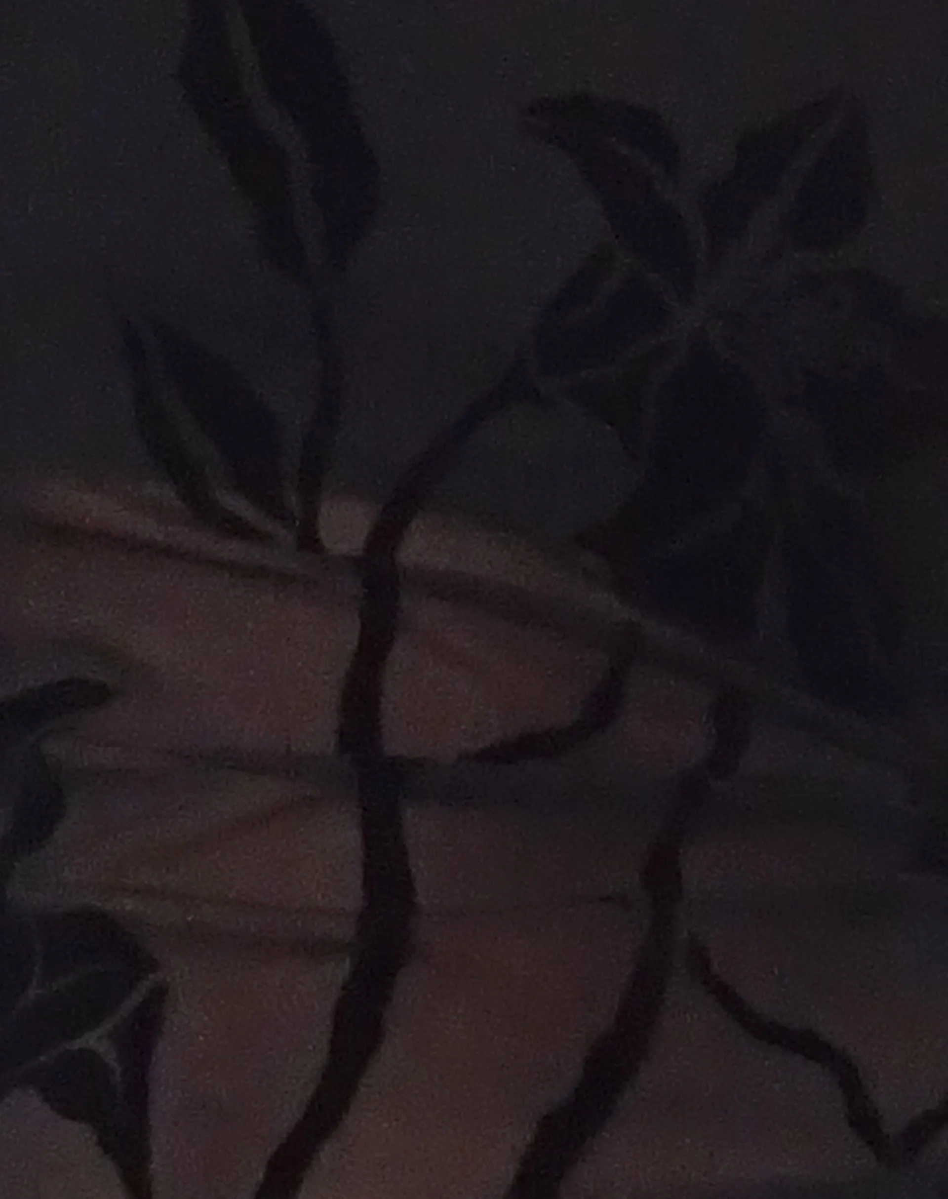 Arabella Halterneck Top in Orchids Flock Black sold by Motel Rocks product image thumbnail 5