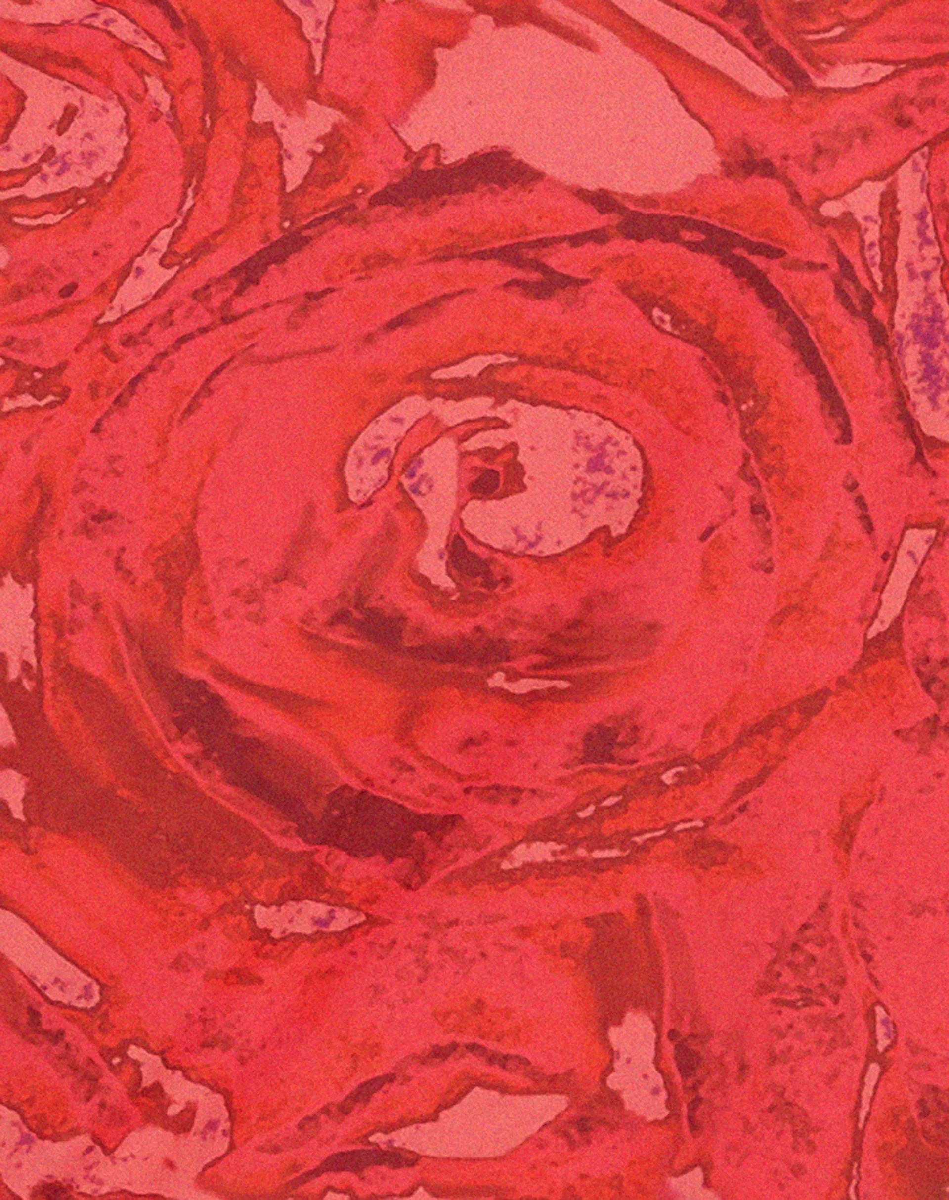 Coya Midi Dress in Rose Petal Red sold by Motel Rocks product image thumbnail 5