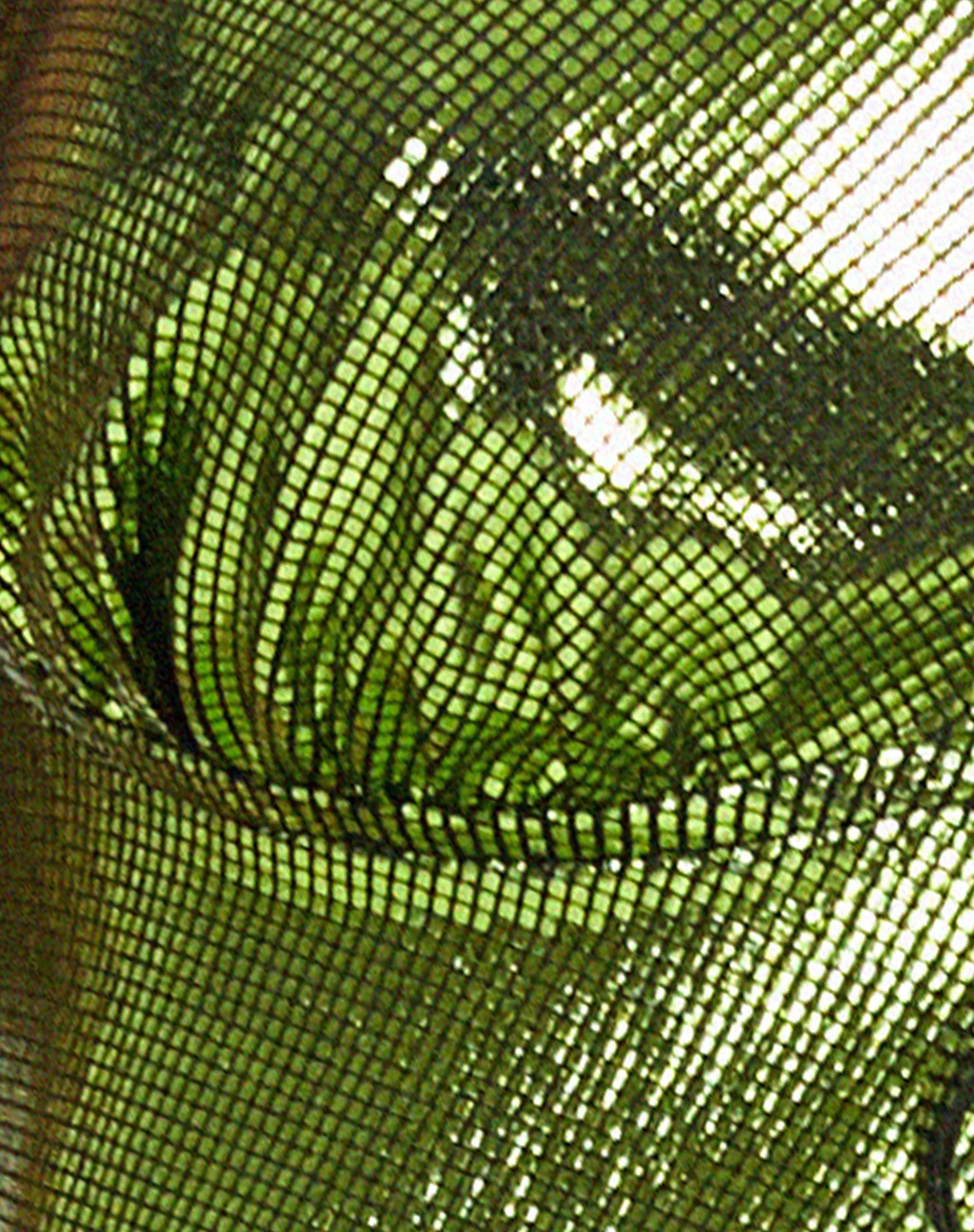 Rumak Crop Top in Holographic Lime sold by Motel Rocks product image thumbnail 5