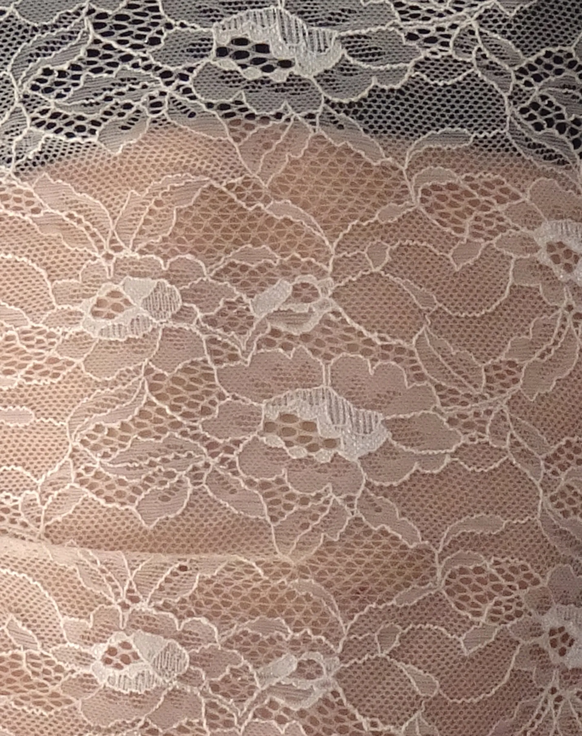 Lainey Long Sleeve Lace Top in Blush sold by Motel Rocks product image thumbnail 5