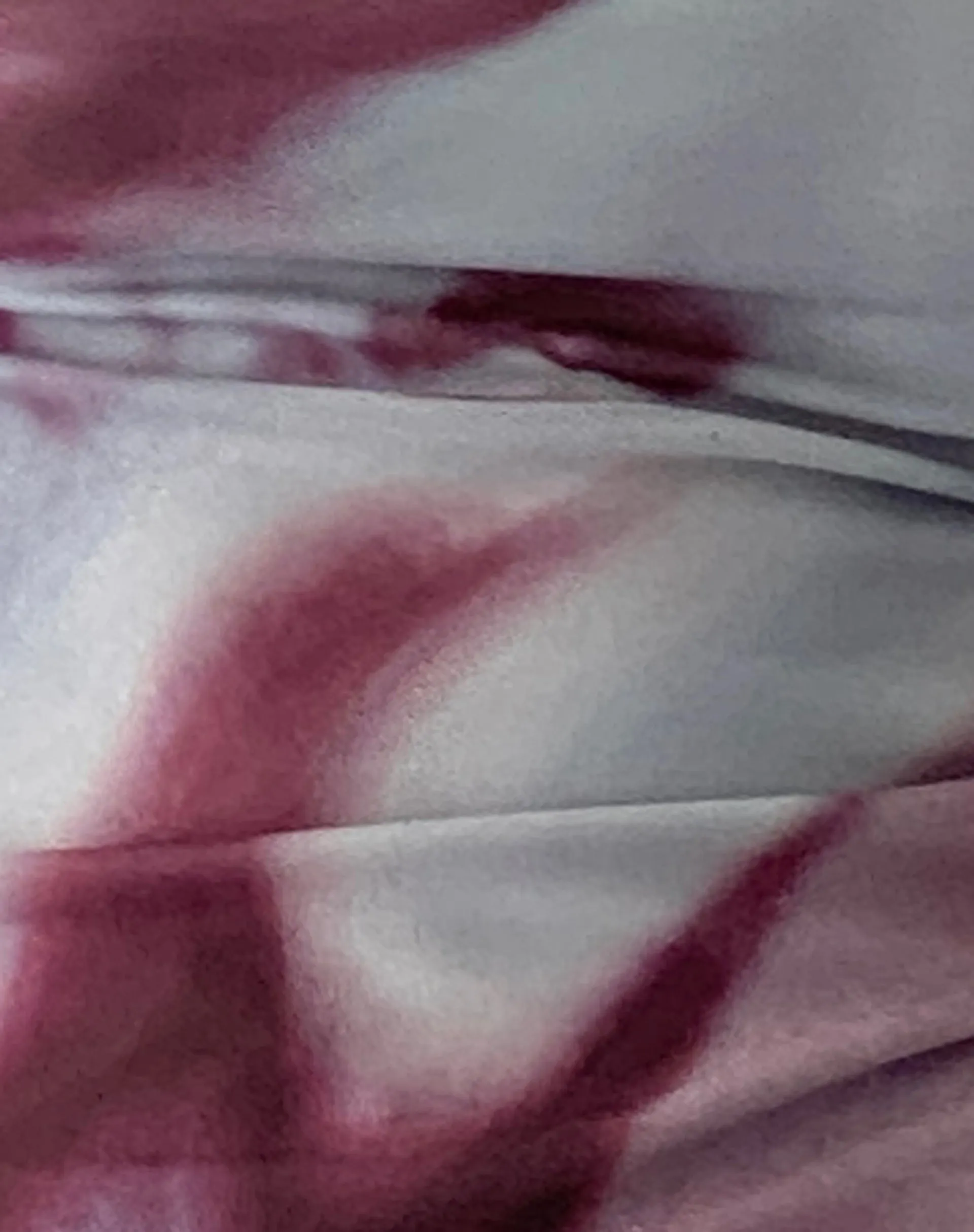 Nova Top in Anatomy of Nature Grey sold by Motel Rocks product image thumbnail 5