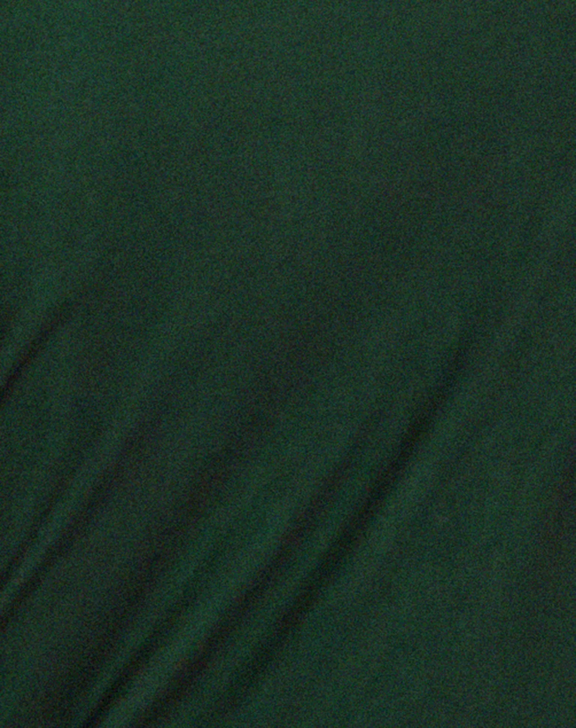 Roska Midi Dress in Black with Vibrant Green Lining sold by Motel Rocks product image thumbnail 5