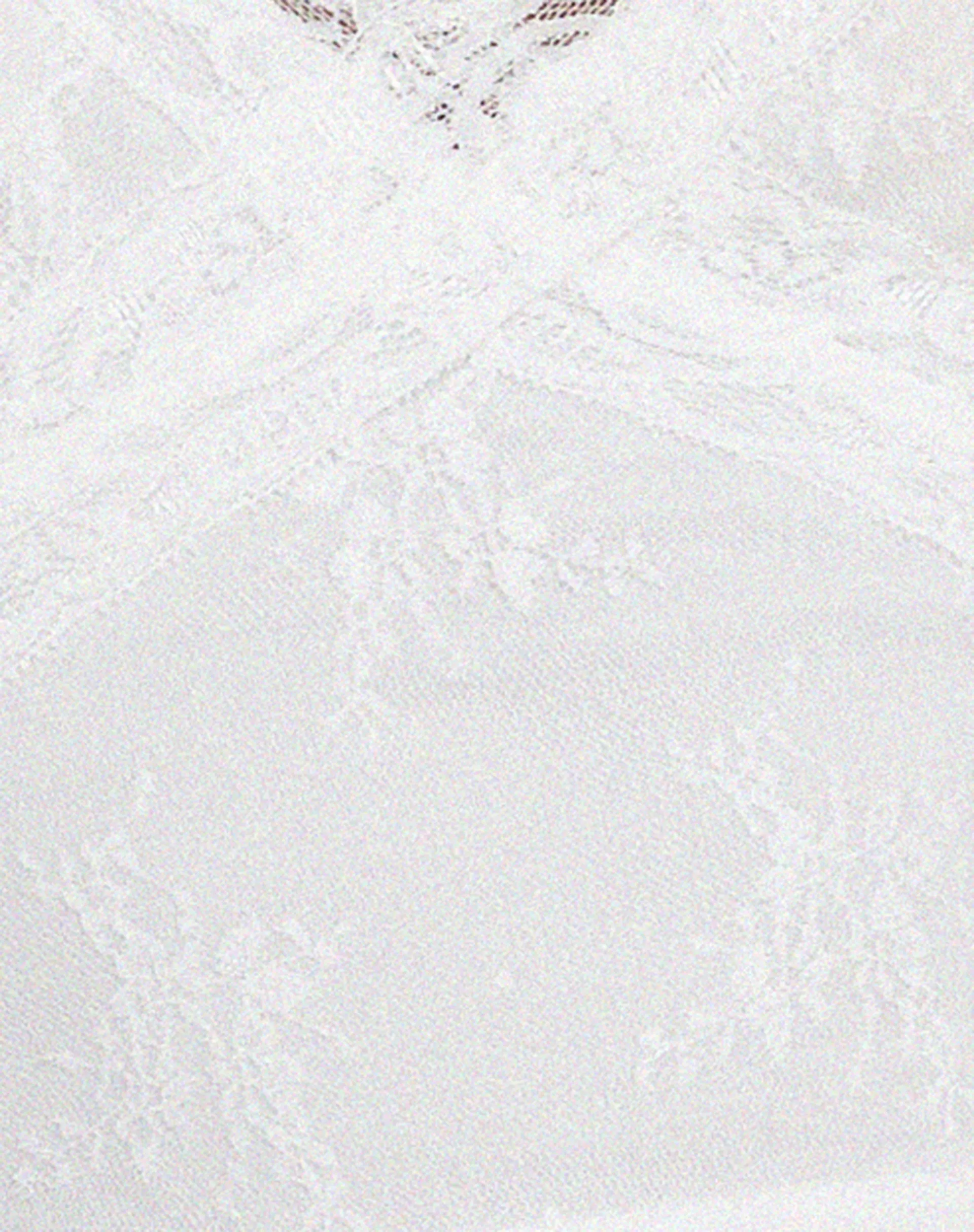 Yecaca Crop Top in Lace Ivory sold by Motel Rocks product image thumbnail 5