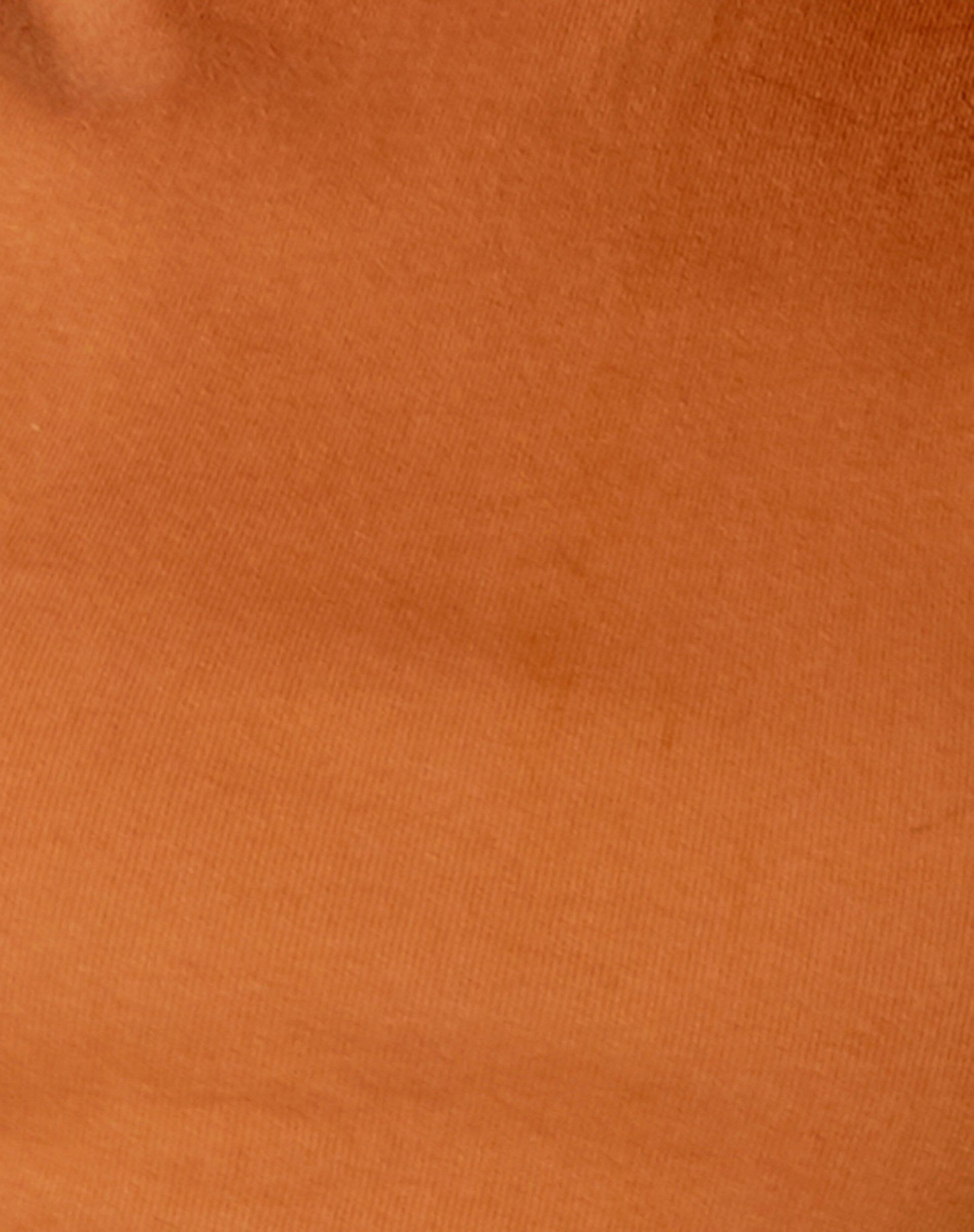 Quera Crop Top in Rib Salted Caramel sold by Motel Rocks product image thumbnail 5