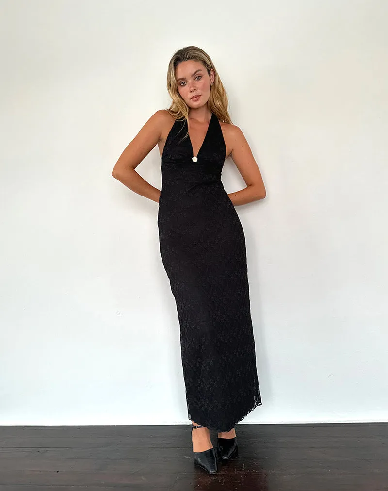 Atma Halterneck Maxi Dress in Canina Lace Black sold by Motel Rocks
