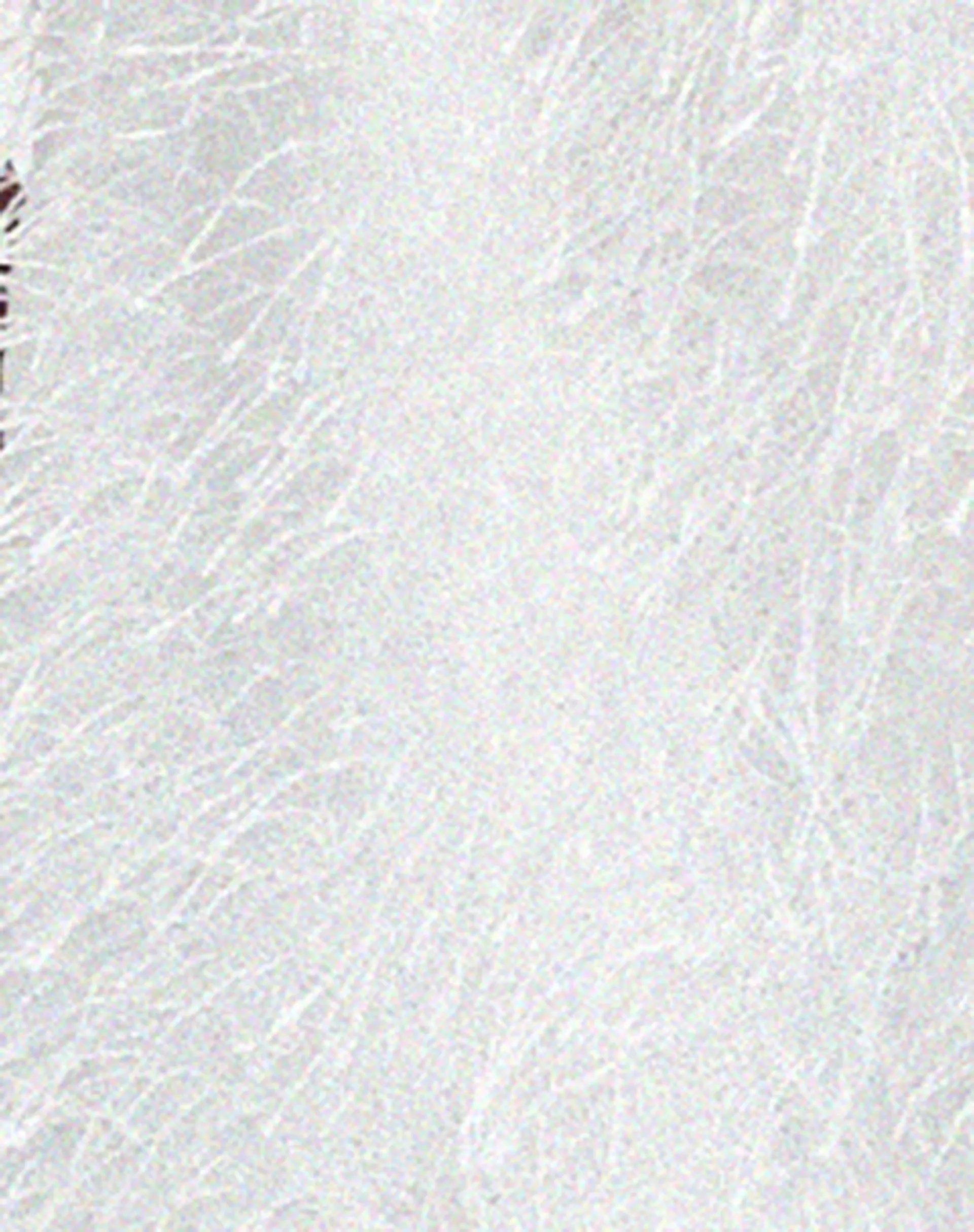 Gastra Crop Top in White sold by Motel Rocks product image thumbnail 5