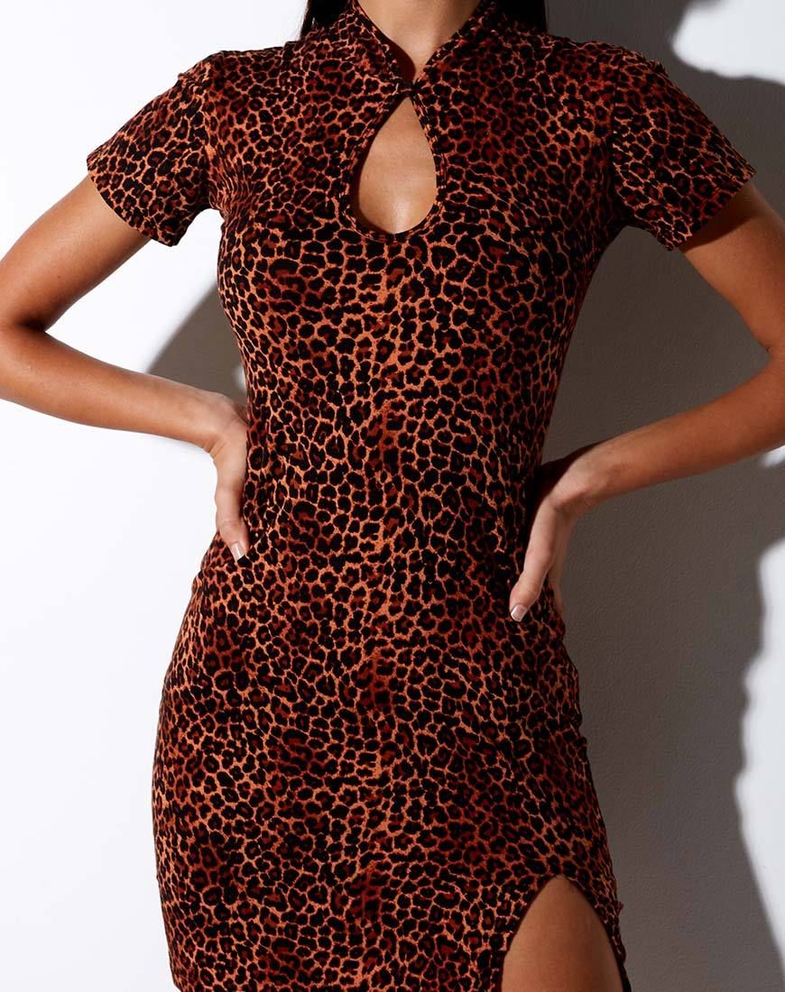 Marlin Bodycon Dress in Ditsy Leopard Orange sold by Motel Rocks