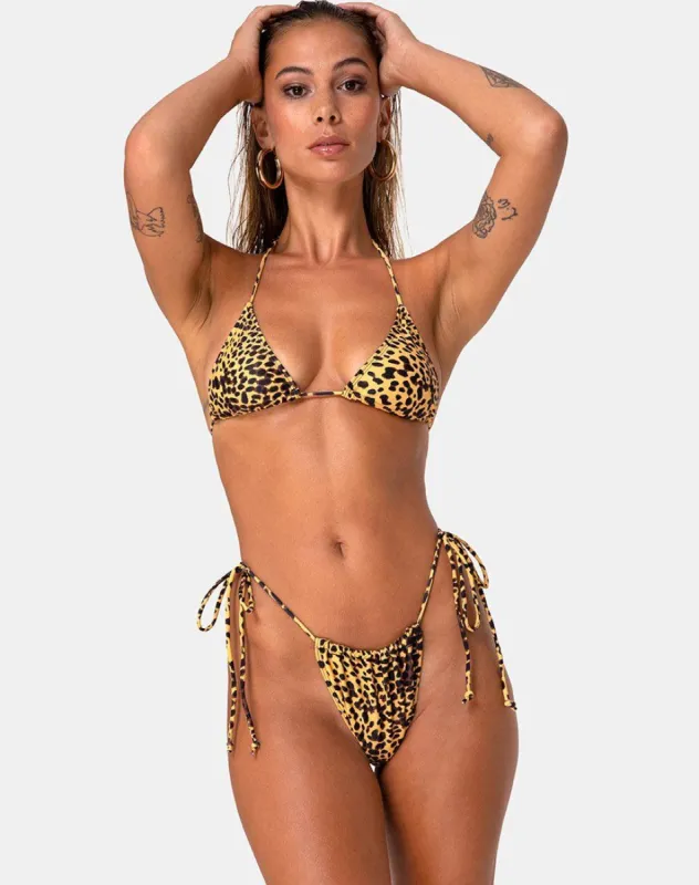 Leyna Bikini Bottom in Golden Cheetah sold by Motel Rocks