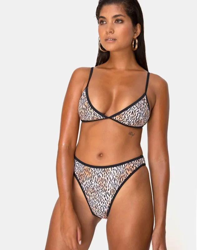 Varna Bikini Top in Mini Tiger with Black Binds sold by Motel Rocks