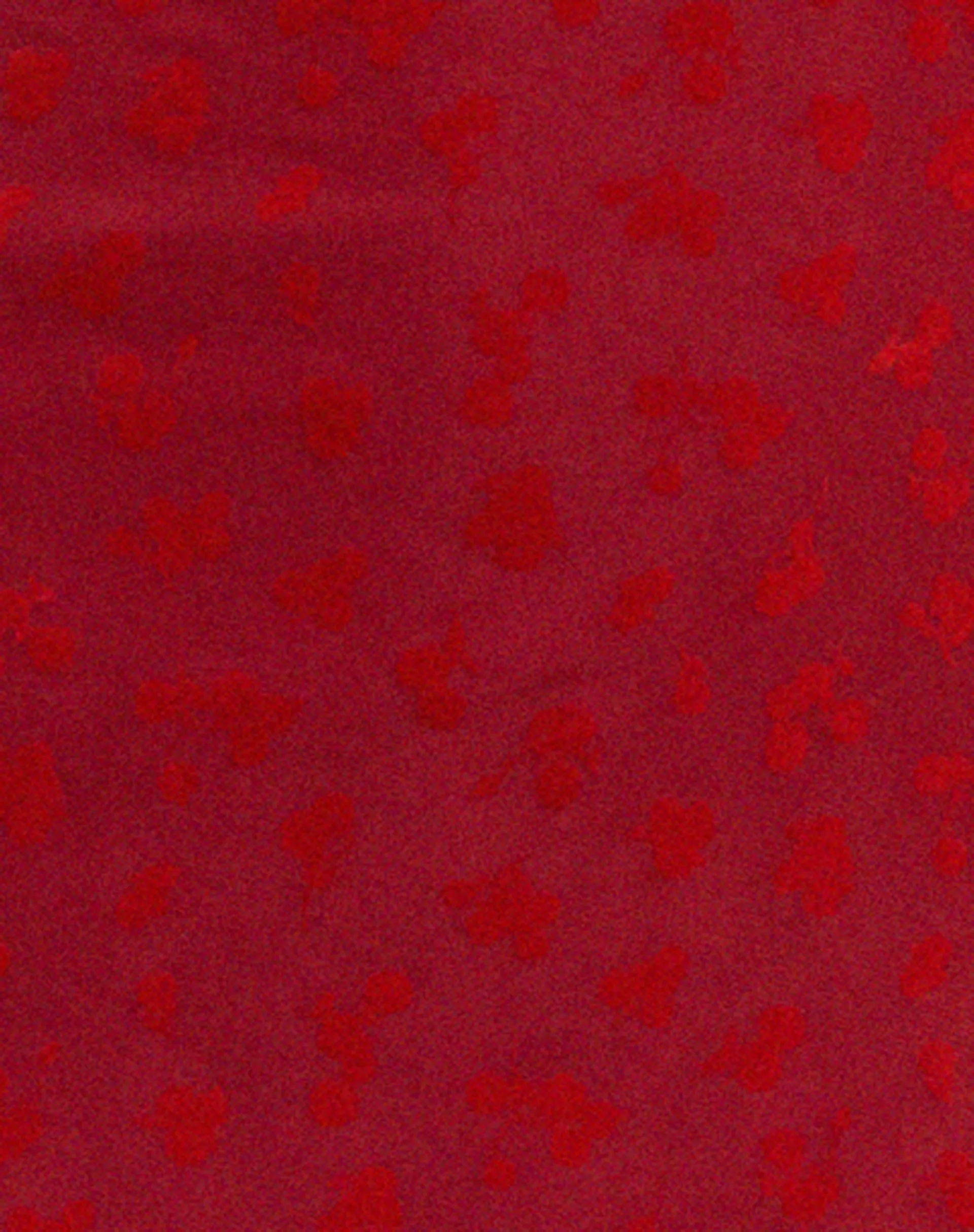 Kalana Midi Dress in Red Flock Mesh sold by Motel Rocks product image thumbnail 5