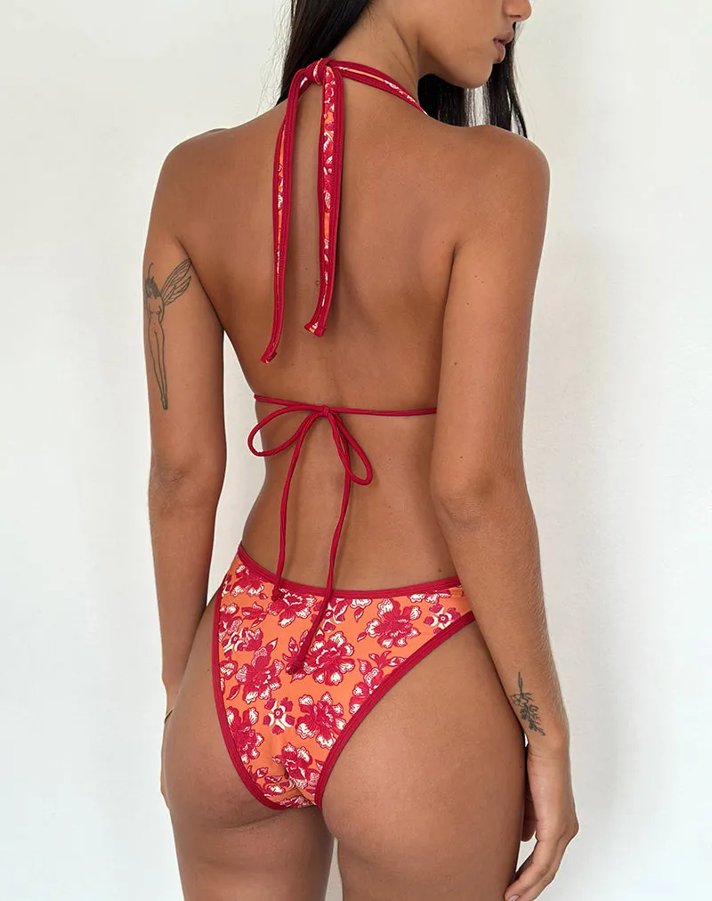 Cerry Bikini Top in Floral Fun Orange with Contrast Binding sold by Motel Rocks product image thumbnail 3