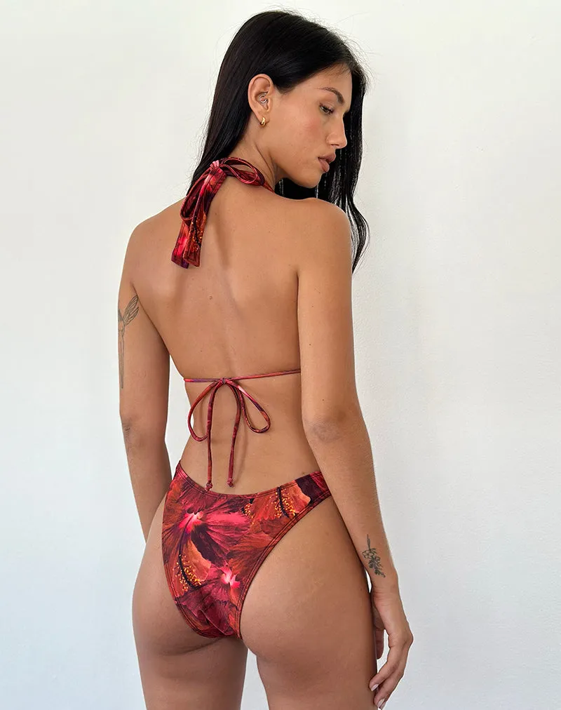 Cerry Bikini Top in Red Hibiscus sold by Motel Rocks product image thumbnail 4