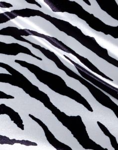 Zigi Mini Skirt in Horizontal Zebra Black and White sold by Motel Rocks