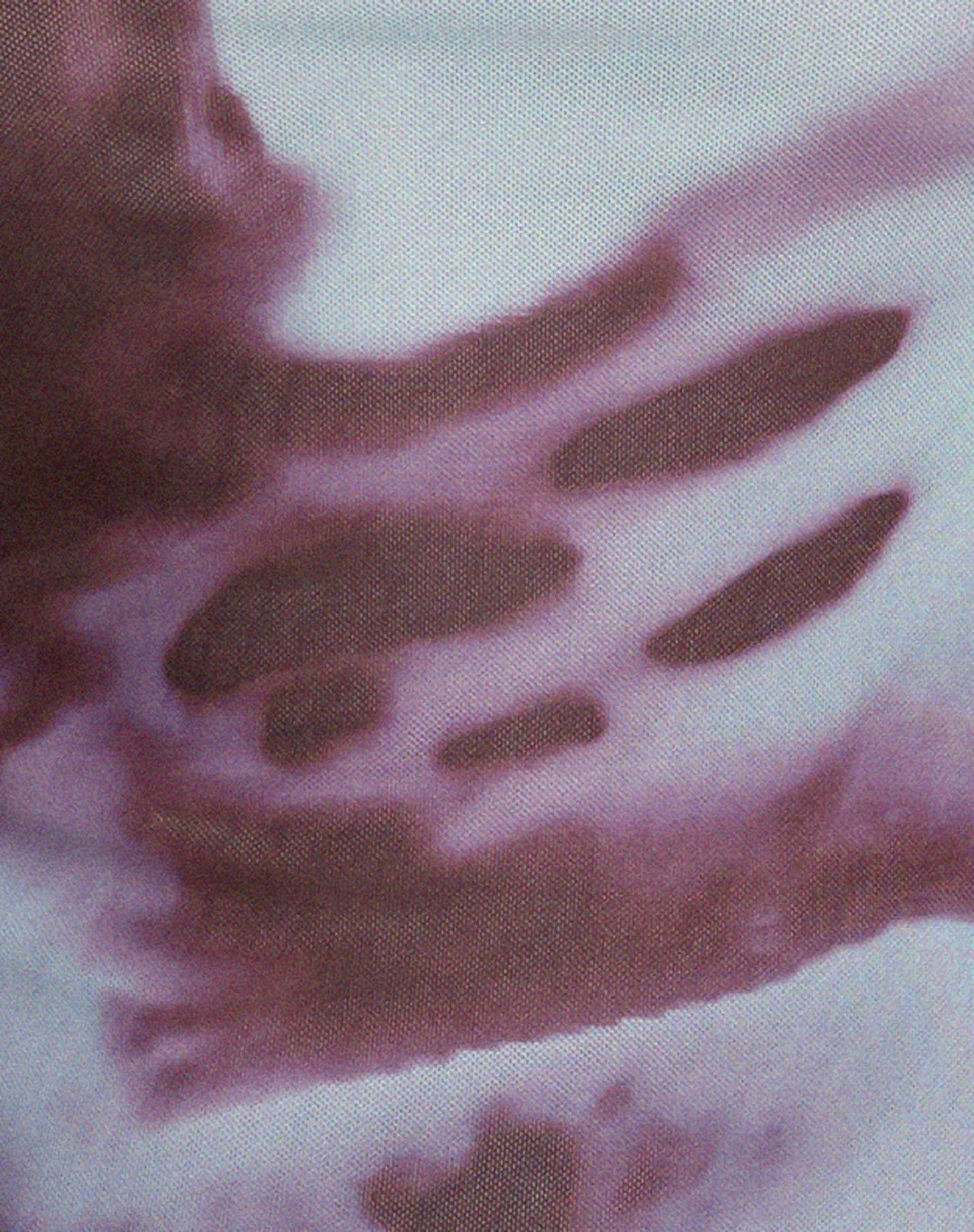 Neira Long Sleeve Mesh Top in Grey Anatomy of Nature sold by Motel Rocks product image thumbnail 5