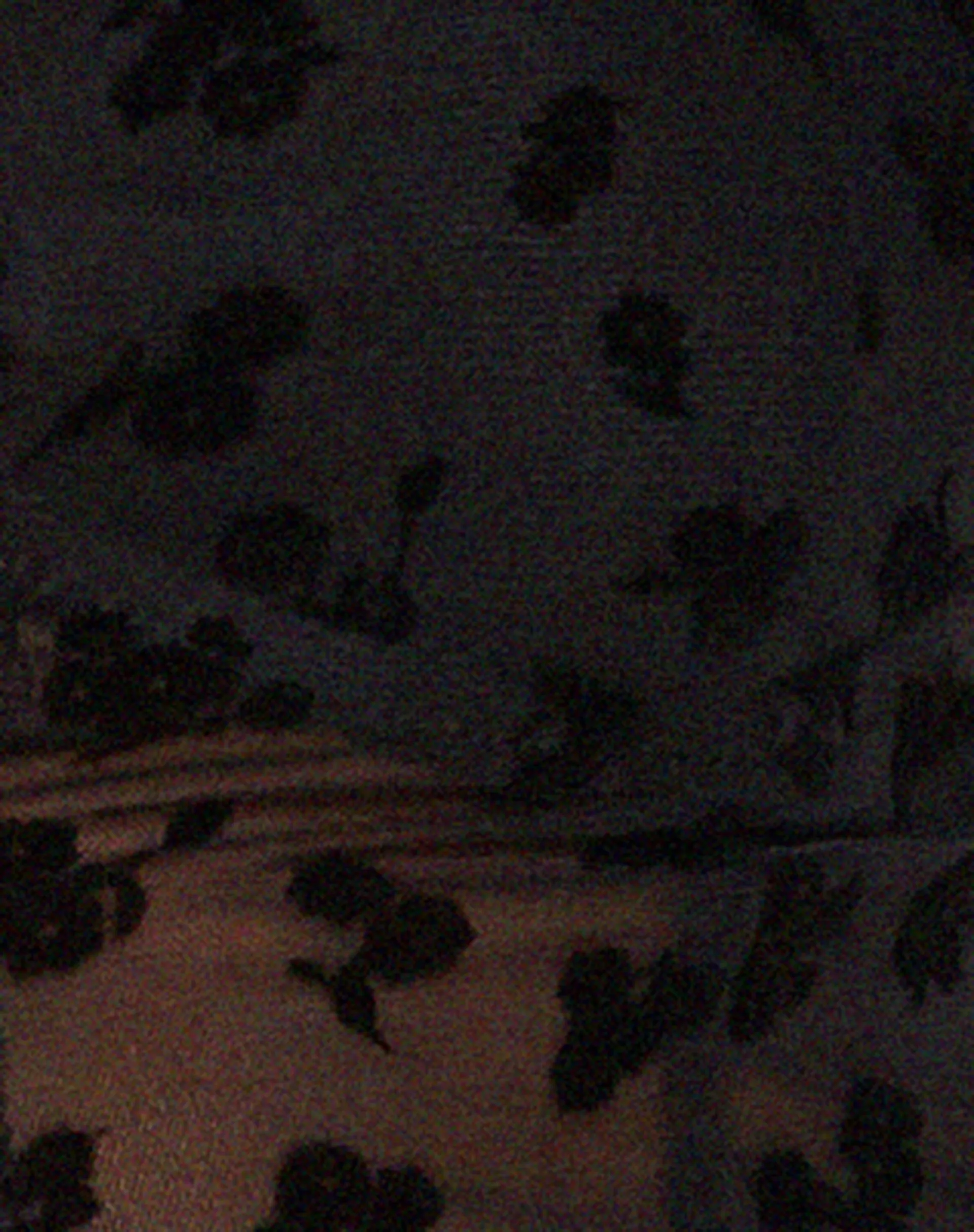 Tura Long Sleeve Crop Top in Flock Mesh Black sold by Motel Rocks product image thumbnail 5