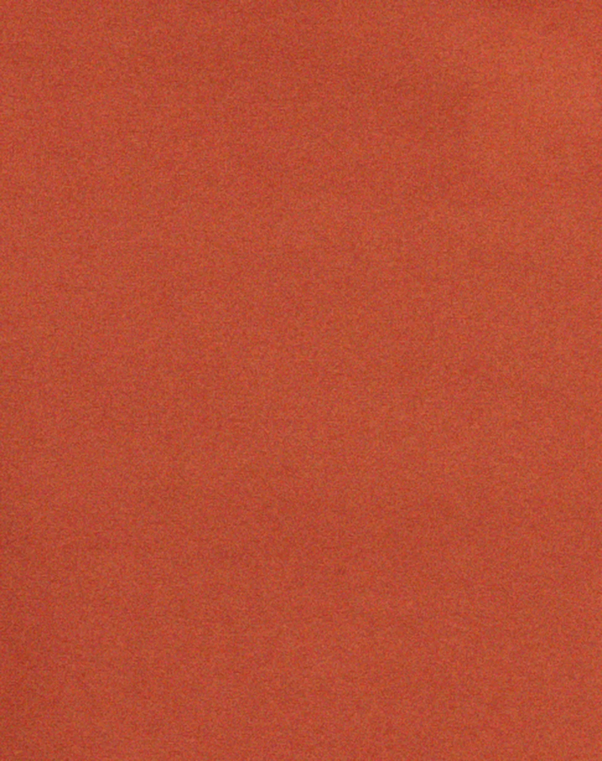 Steira Midi Skirt in Spice sold by Motel Rocks product image thumbnail 5