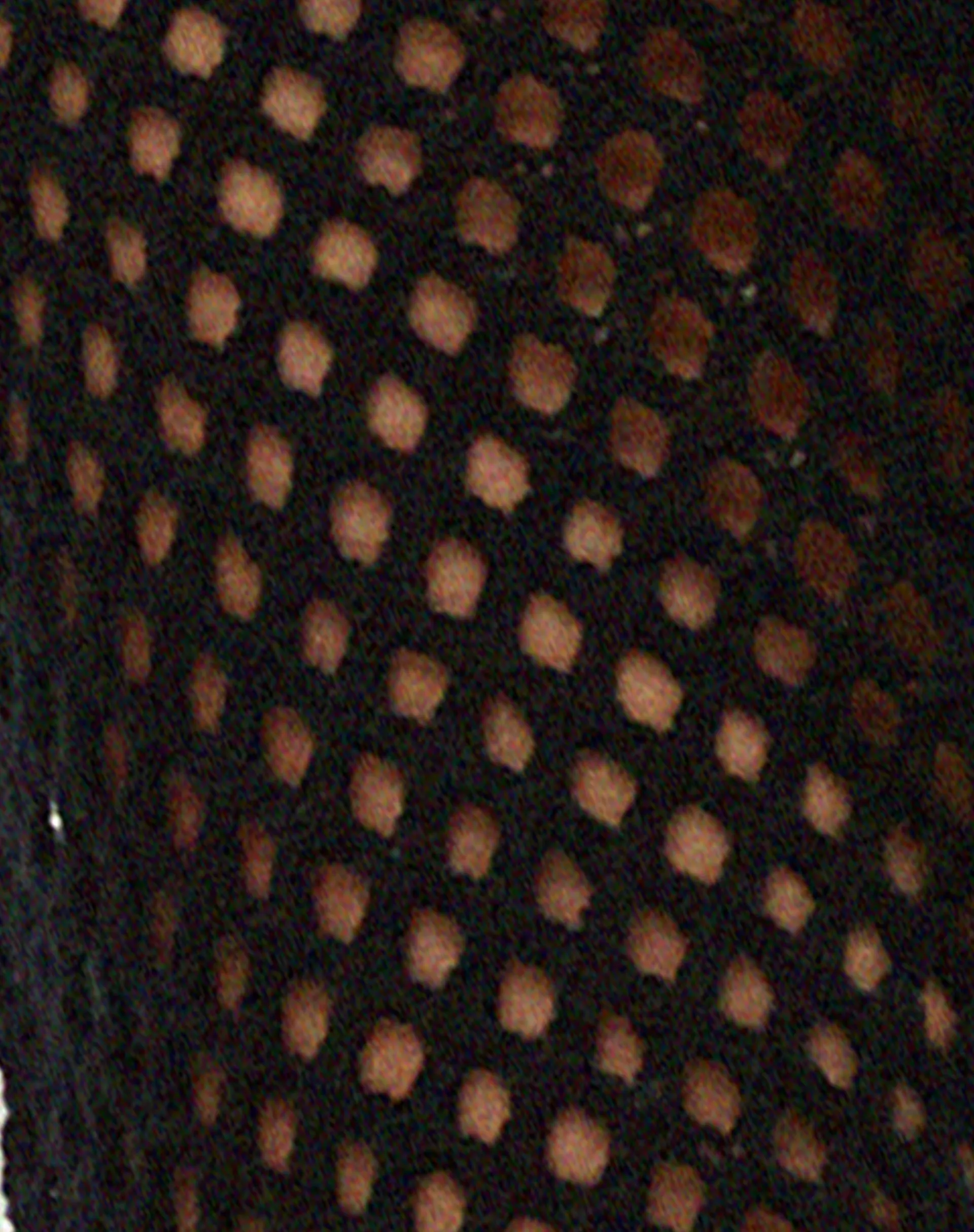 Nocta Crop Top in Black sold by Motel Rocks product image thumbnail 5