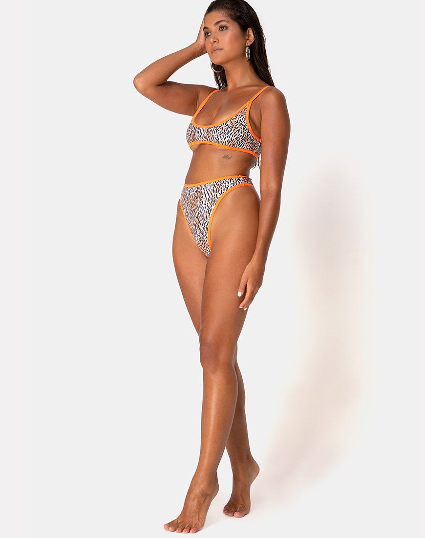 Sikila Bikini Bottom in Mini Tiger with Orange Binds sold by Motel Rocks