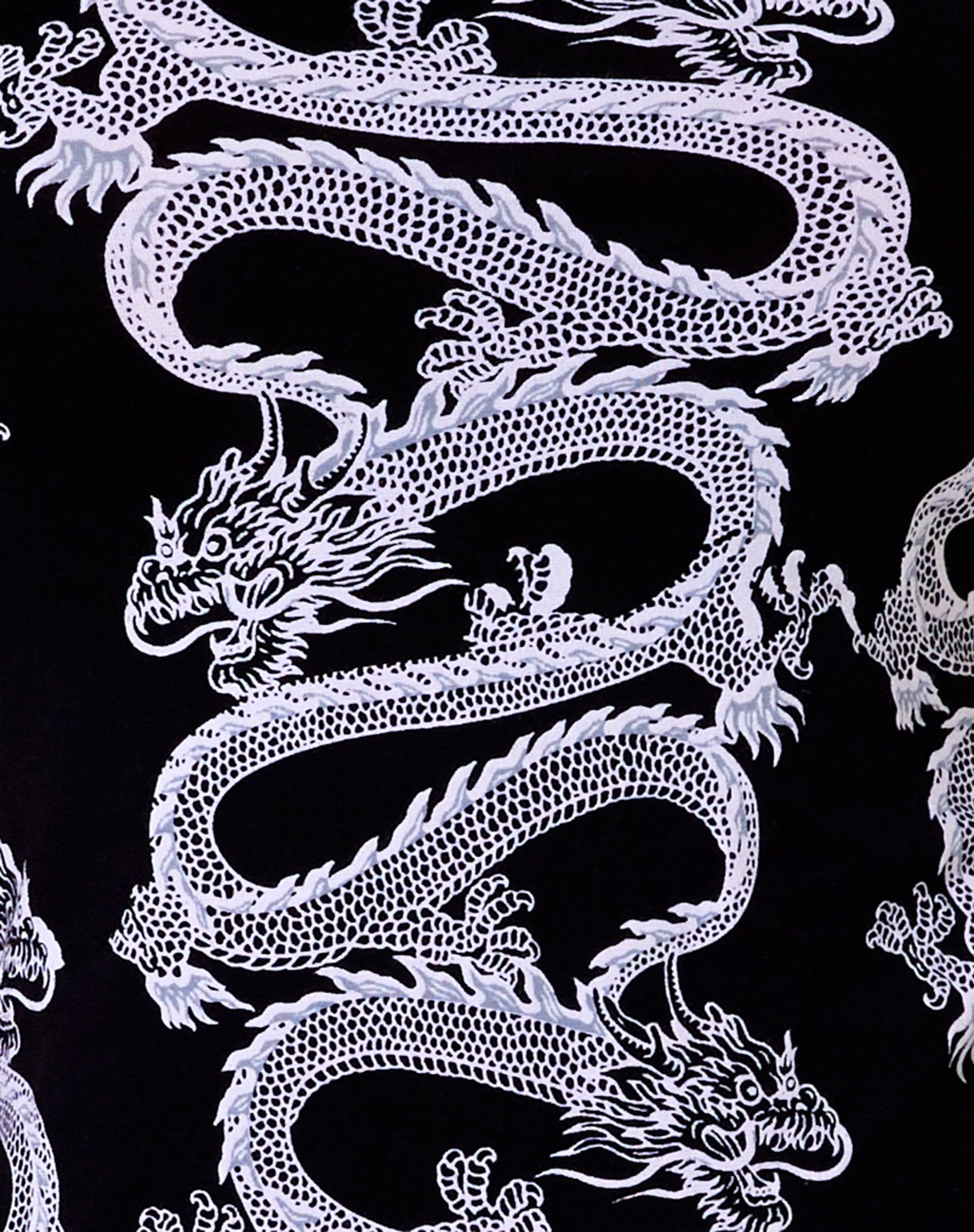 Aprily Mini Dress in Dragon Rope Black Placement sold by Motel Rocks product image thumbnail 5