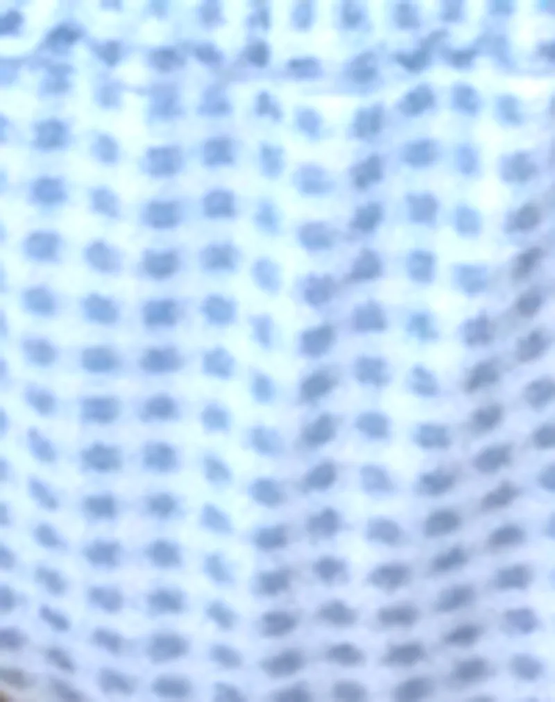 Leyna Bikini Bottom in Blue Gingham sold by Motel Rocks product image thumbnail 5