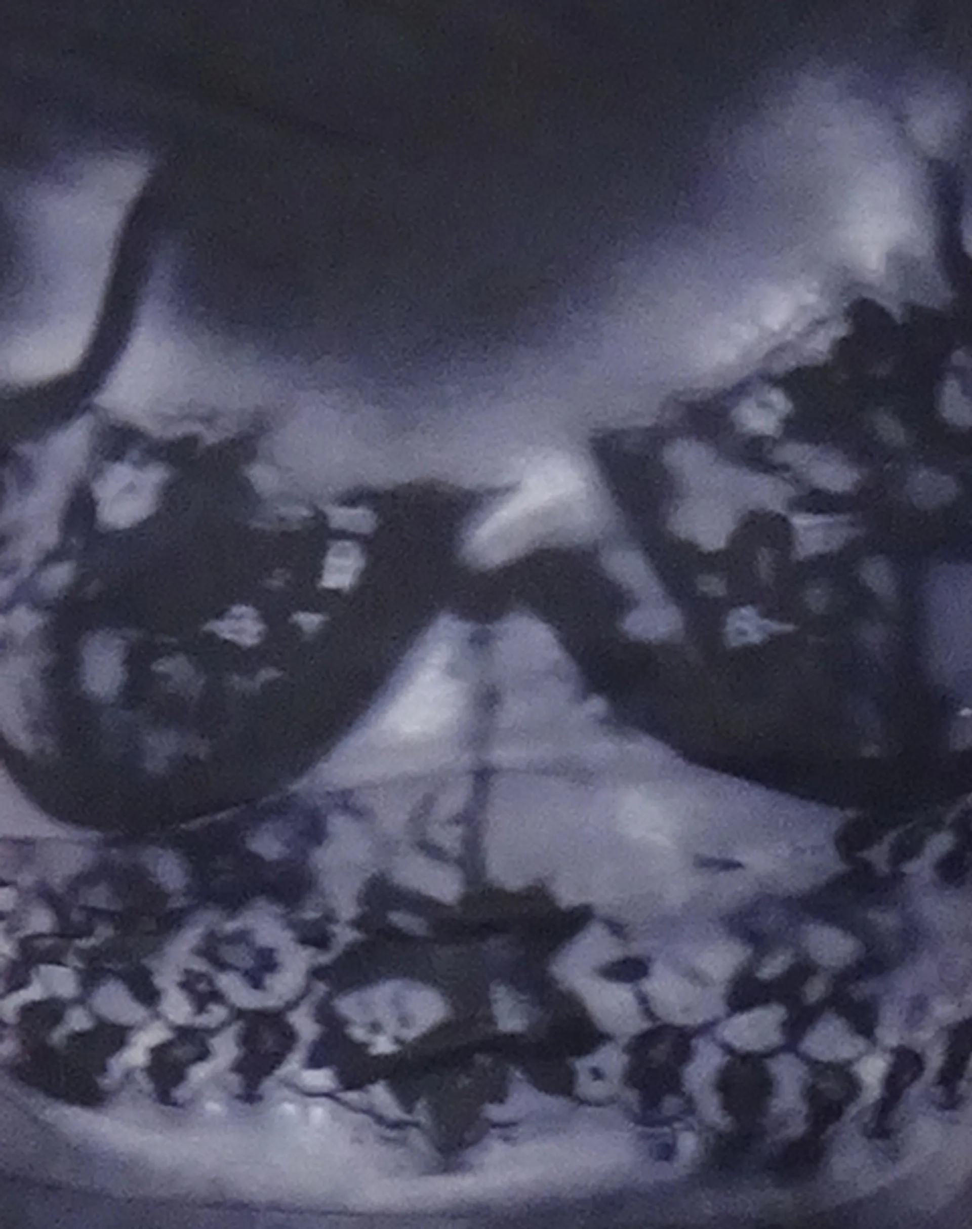 Nova Top with Lace Scan Motif in Black sold by Motel Rocks product image thumbnail 5