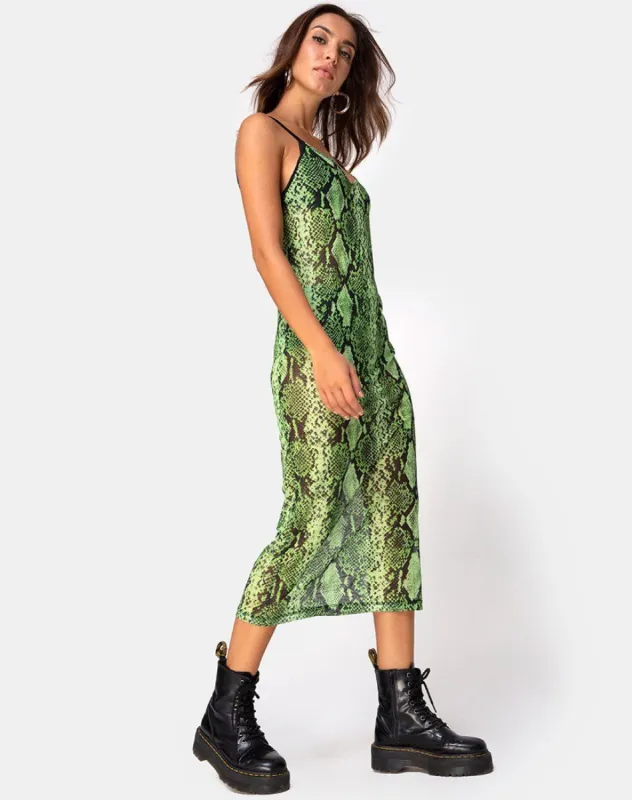 Midnight Midi Dress in Slime Lime Snake Mesh sold by Motel Rocks
