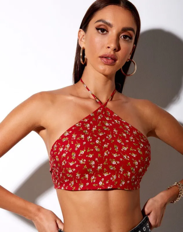 Maudy Crop Top in Falling For You Floral Red sold by Motel Rocks