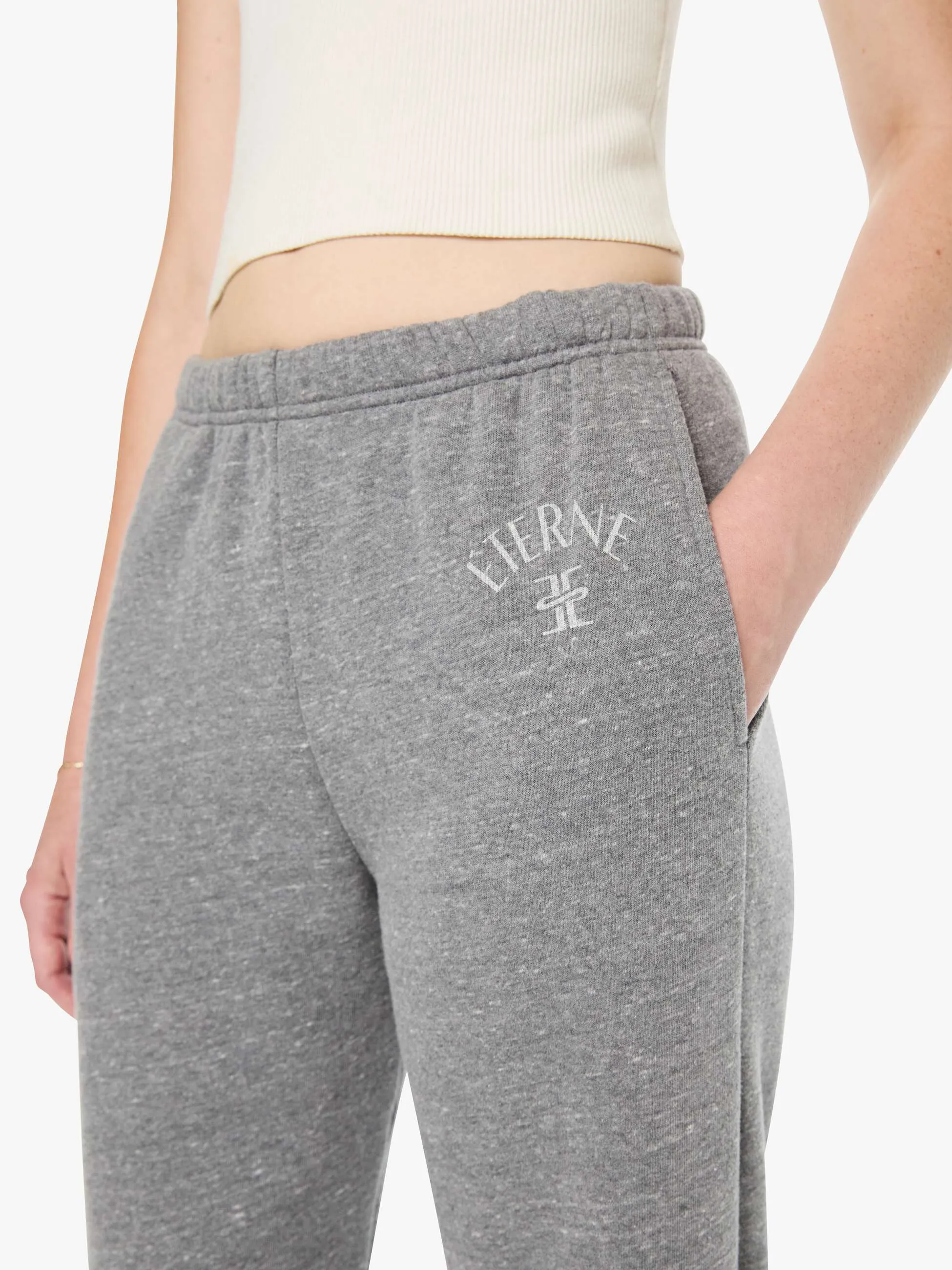 Eterne Boyfriend Pocket Sweatpant - Dark Heather Grey sold by MOTHER product image thumbnail 5