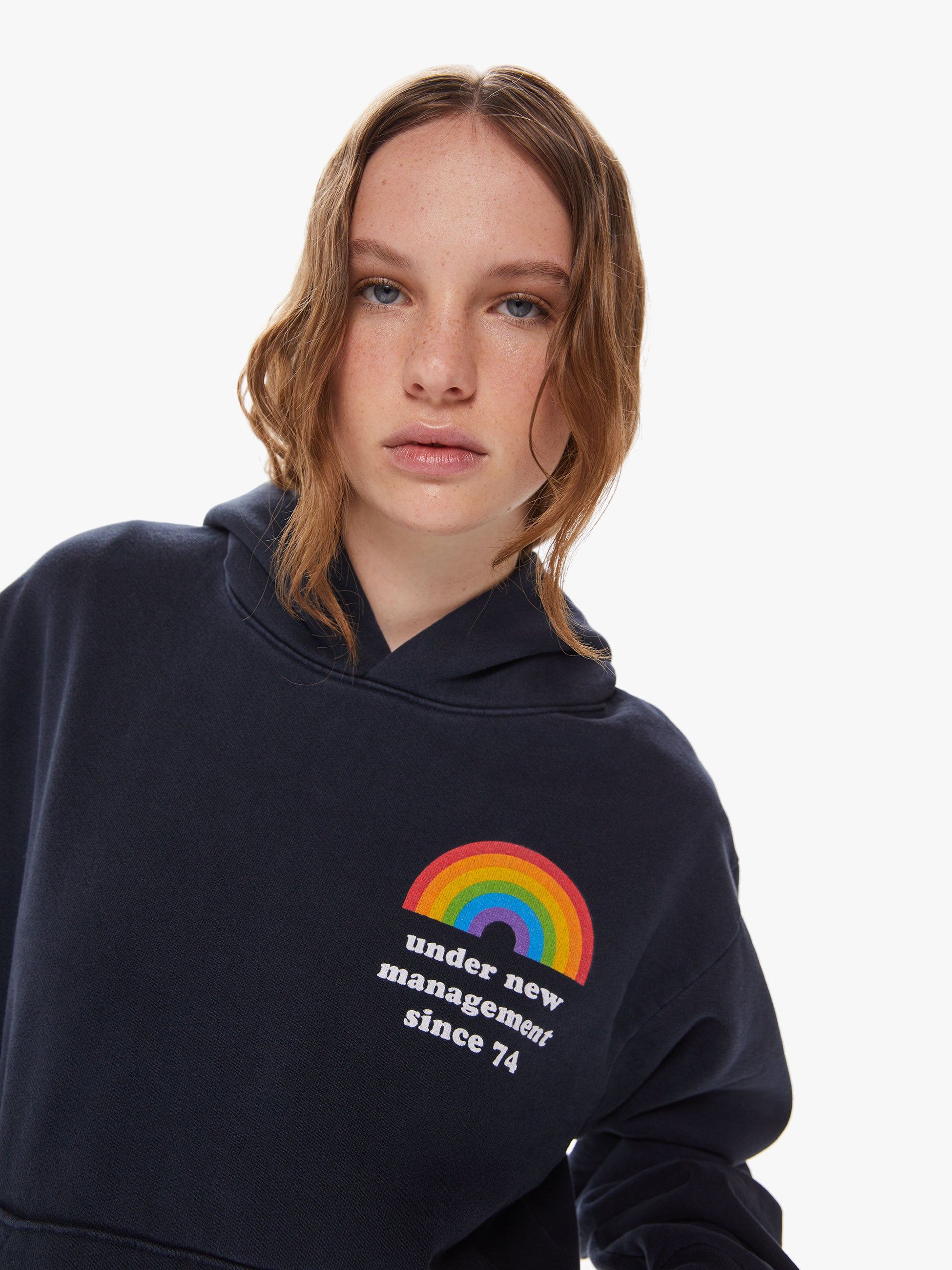 Cloney Rainbow Management Pullover Hoodie - Navy sold by MOTHER product image thumbnail 5