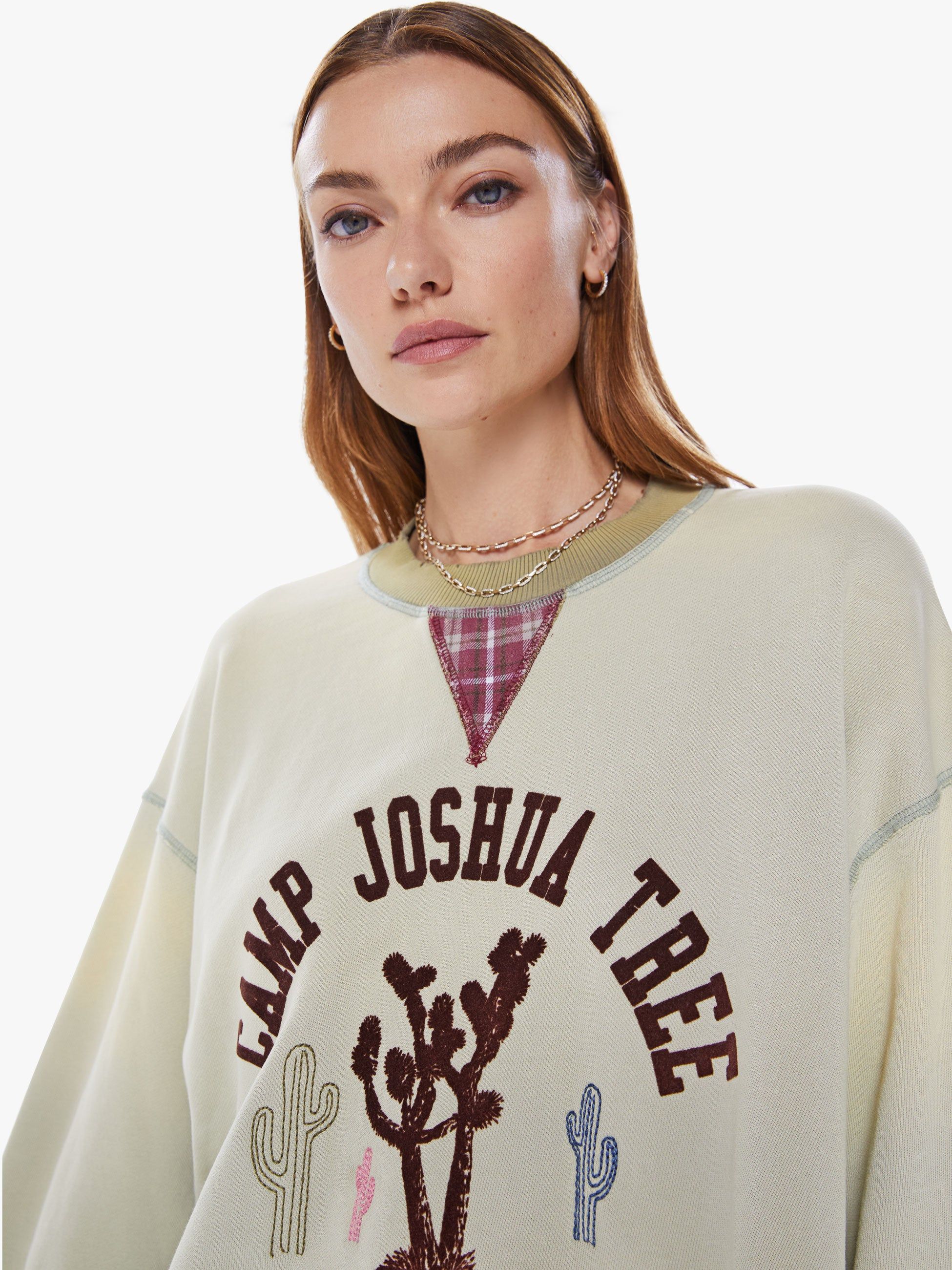 Dr. Collectors Campus Sweatshirt - Sage sold by MOTHER product image thumbnail 6