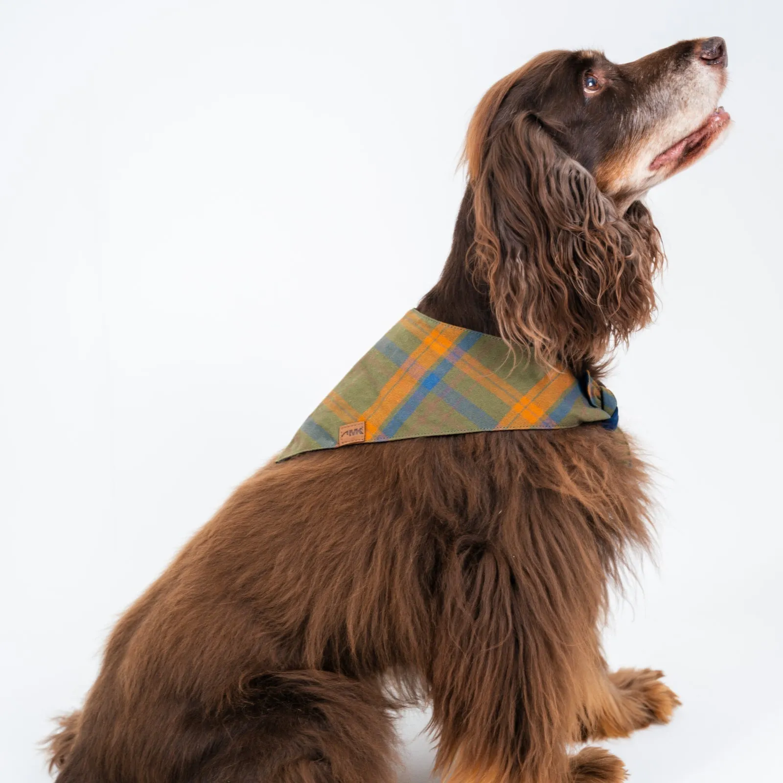 Dog's Boone Bandana sold by Mountain Khakis product image thumbnail 2