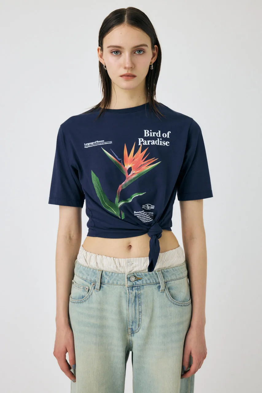 010IS390-4031 sold by Moussy product image thumbnail 2