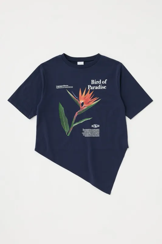 010IS390-4031 sold by Moussy