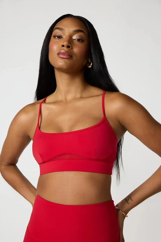 Sculpt Bra Multi-Pack sold by MPG