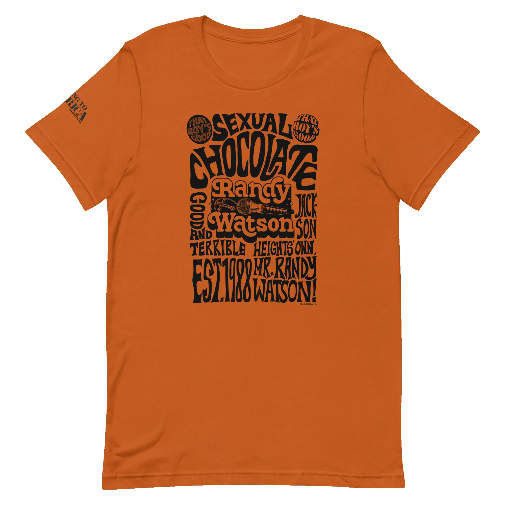 Coming To America Randy Watson Adult Short Sleeve T-Shirt sold by MTV product image thumbnail 5