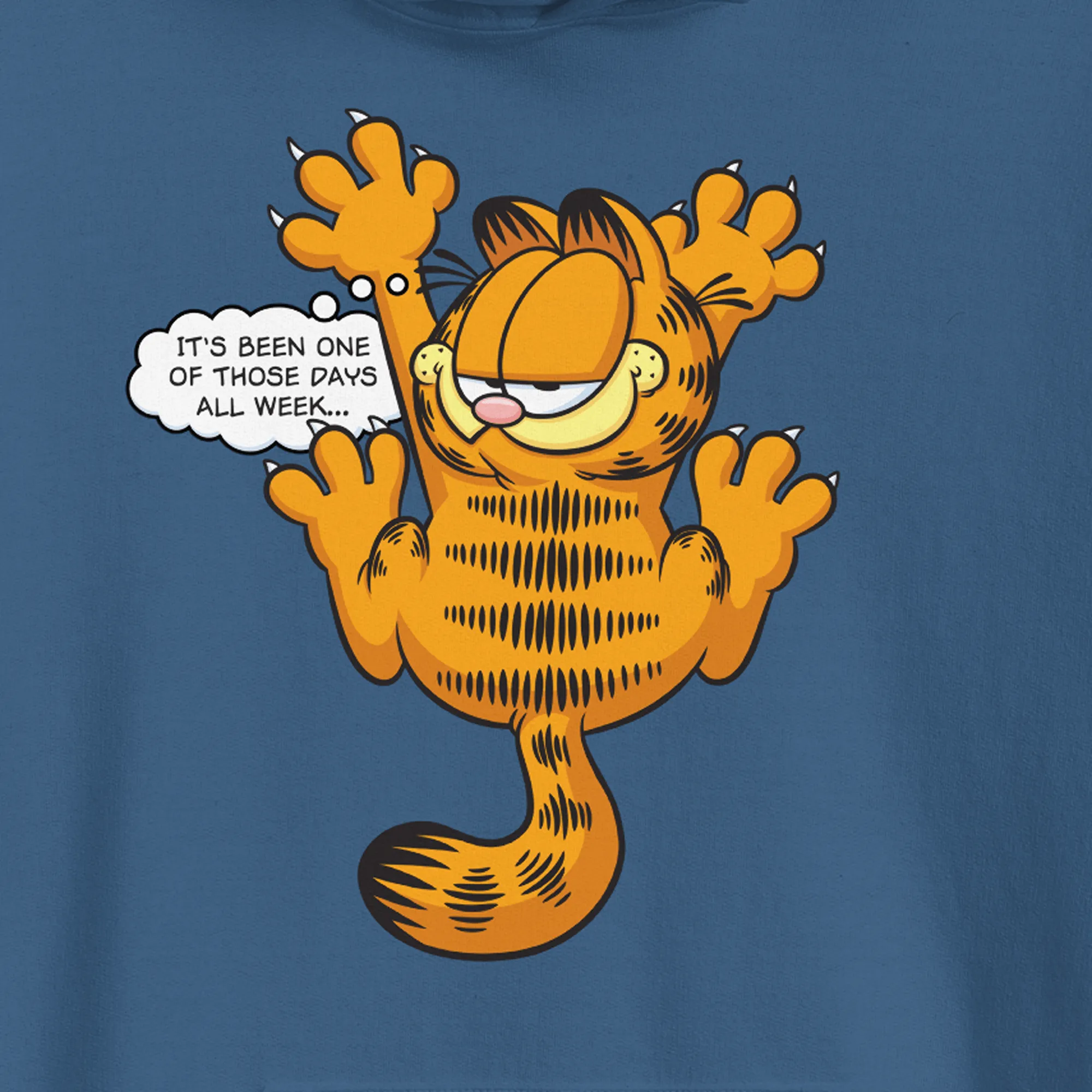 Garfield One Of Those Days Hooded Sweatshirt sold by MTV product image thumbnail 2