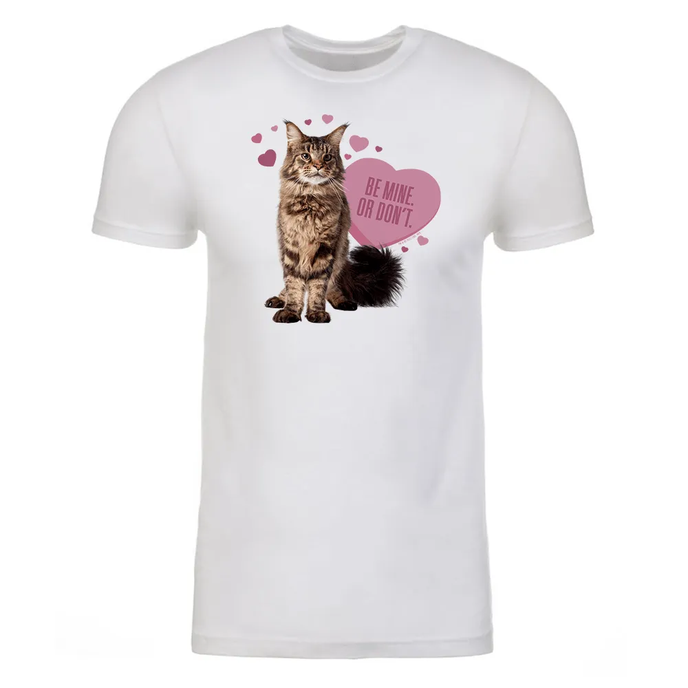 Star Trek: Discovery Grudge Be Mine Adult Short Sleeve T-Shirt sold by MTV product image thumbnail 3