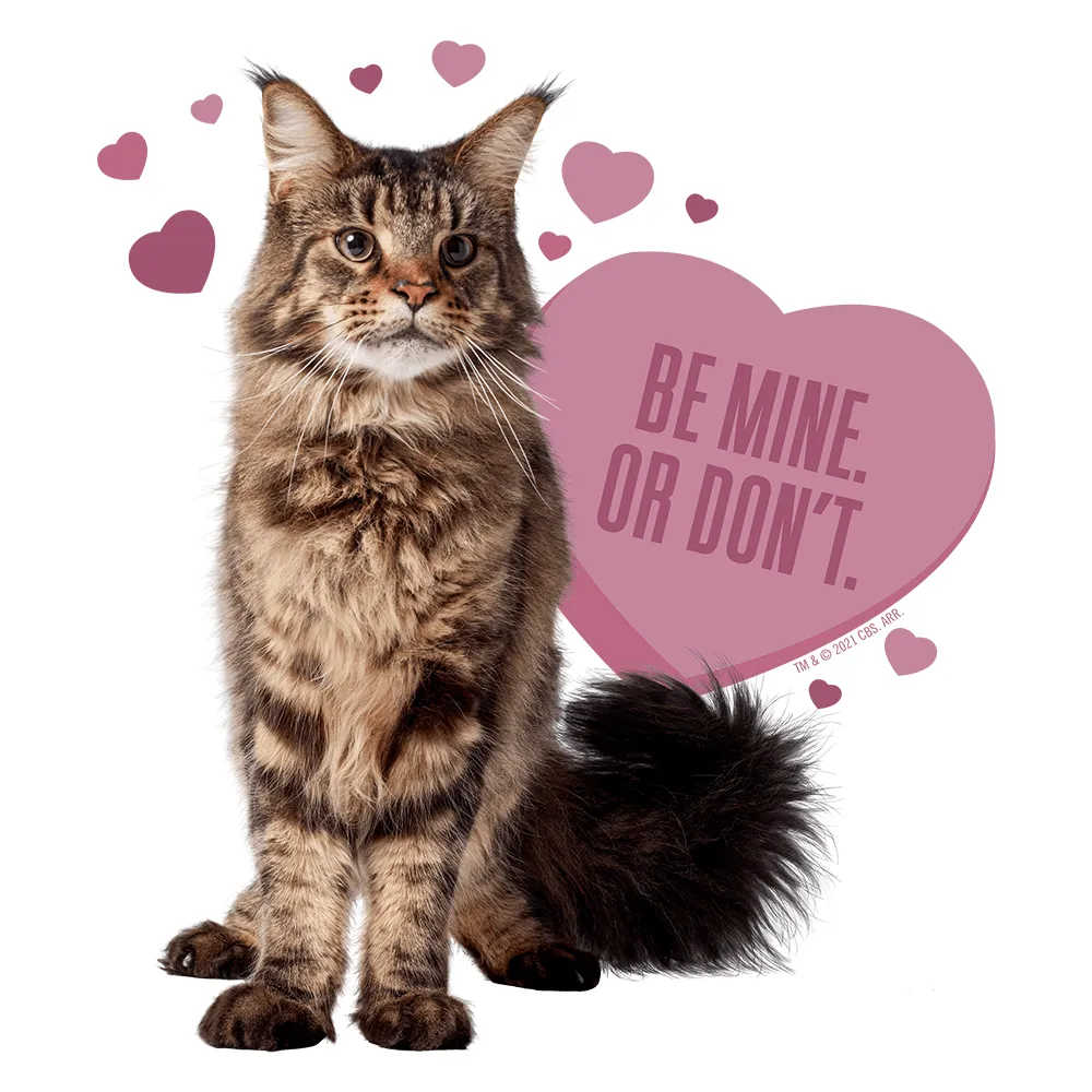 Star Trek: Discovery Grudge Be Mine Adult Short Sleeve T-Shirt sold by MTV product image thumbnail 2