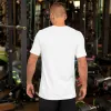 Yellowstone Wild And Free Unisex T-Shirt sold by MTV