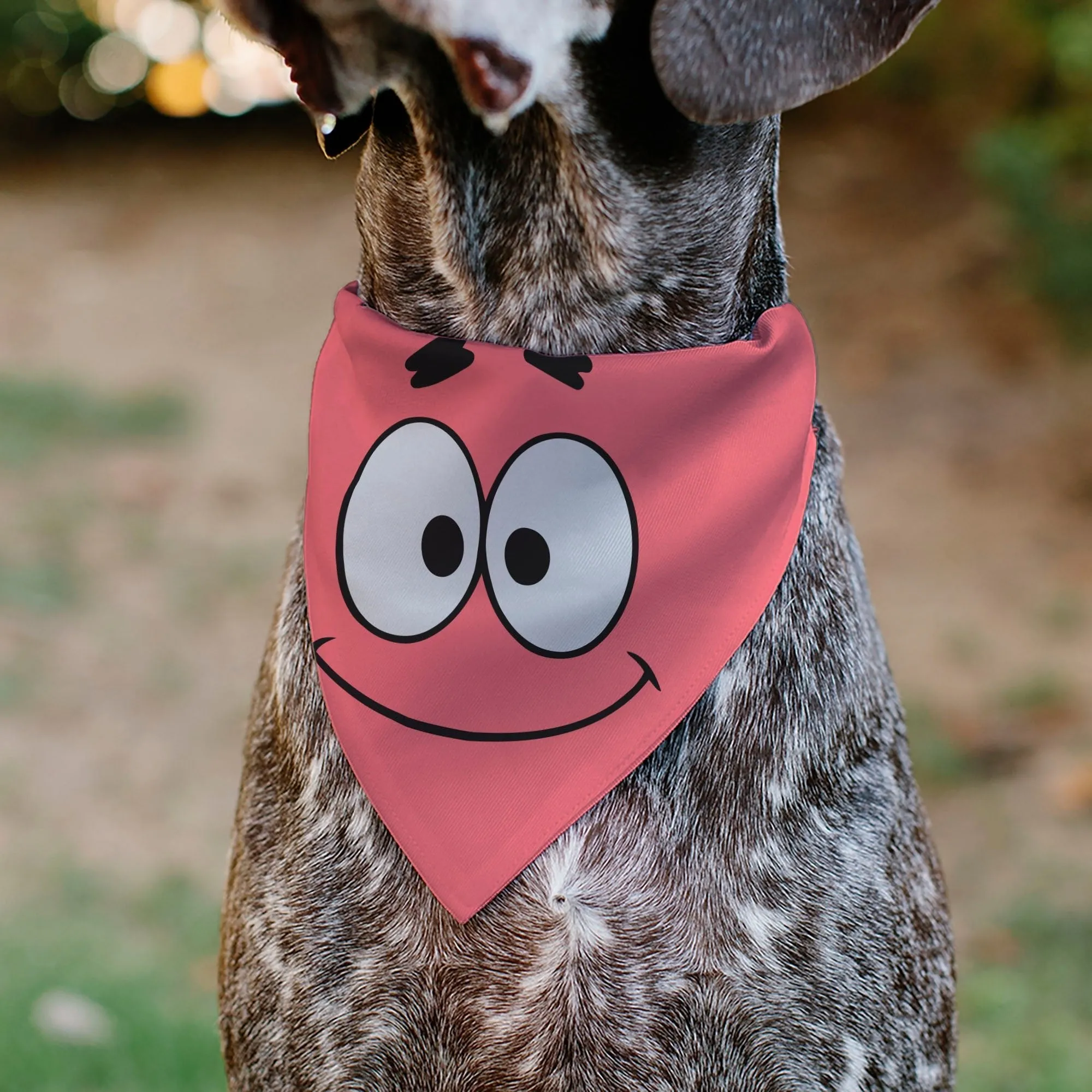 SpongeBob SquarePants Pet Bandana Patrick Star Face Close-Up Pink sold by MTV product image thumbnail 4