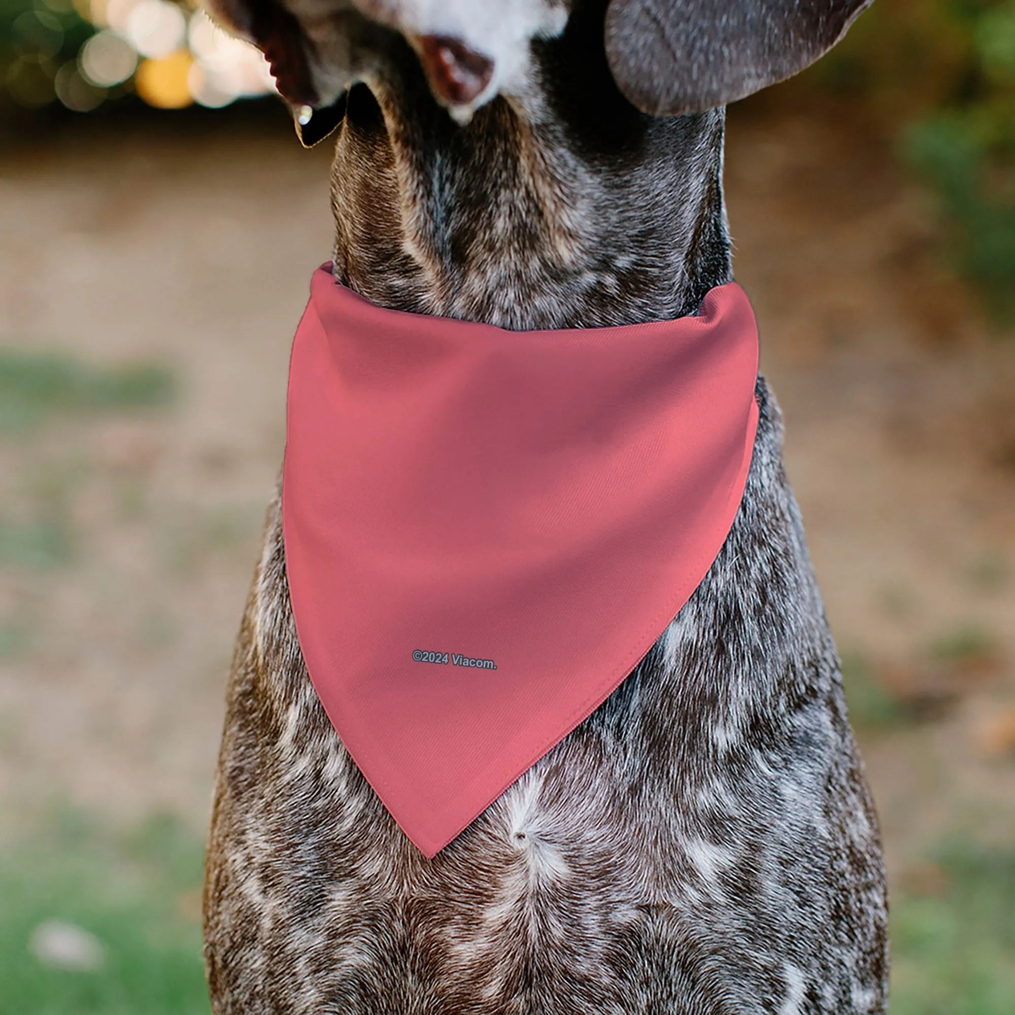 SpongeBob SquarePants Pet Bandana Patrick Star Face Close-Up Pink sold by MTV product image thumbnail 5