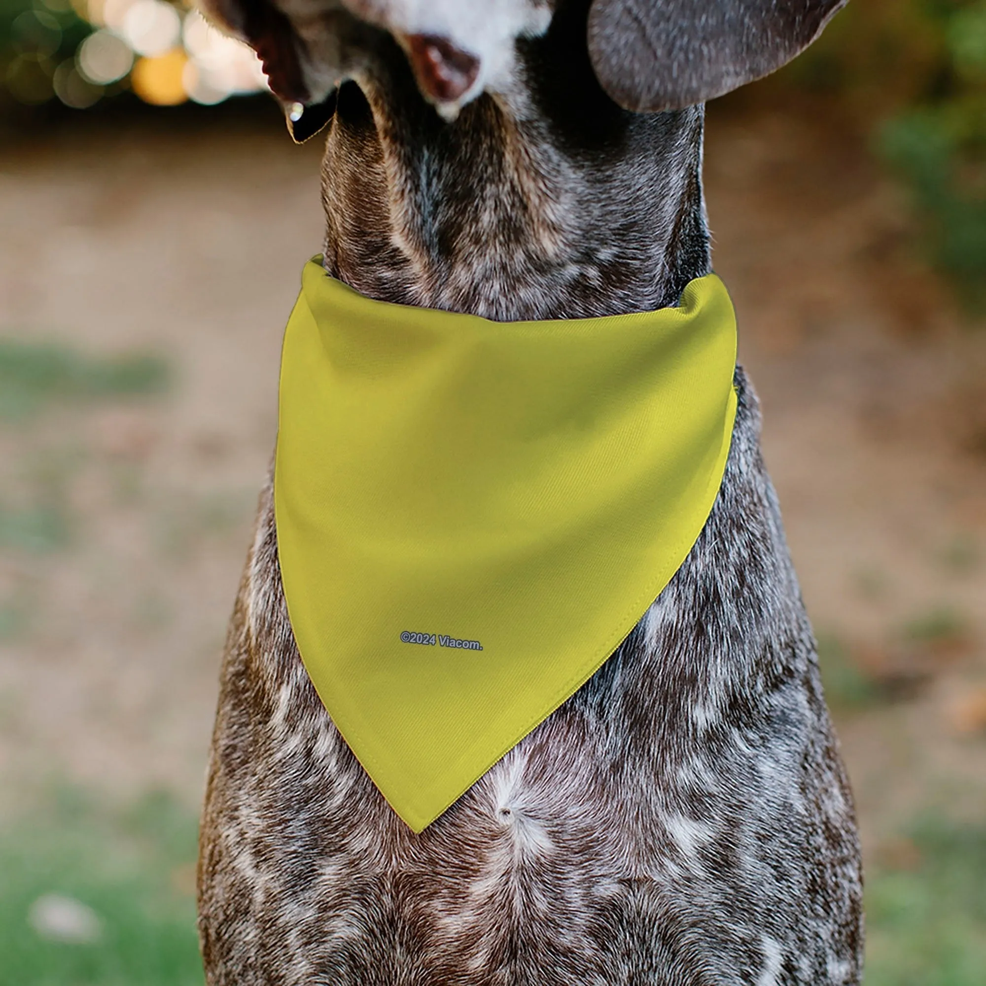 SpongeBob SquarePants Pet Bandana Chain Pose Slips Over Collar Yellow sold by MTV product image thumbnail 5