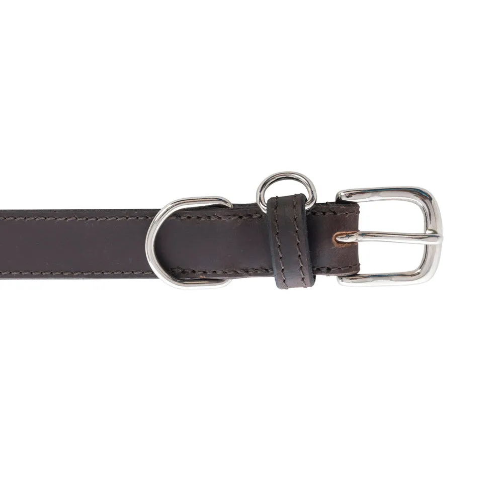 Topside Dog Collar in Ebony sold by Myra Bag product image thumbnail 3