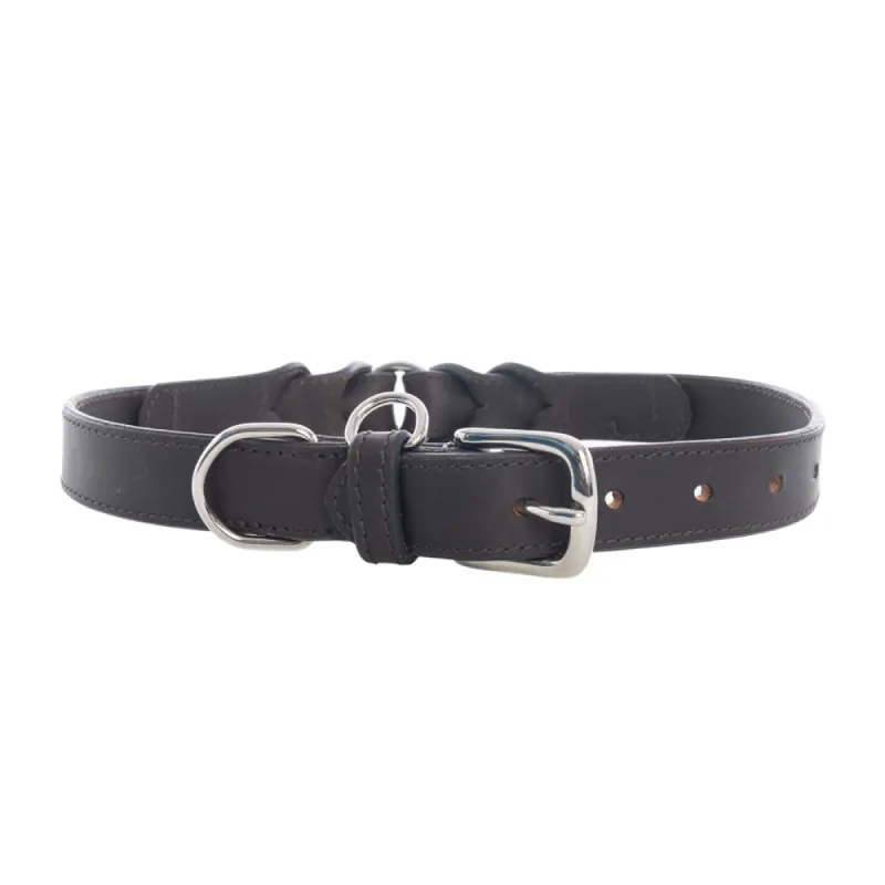 Topside Dog Collar in Ebony sold by Myra Bag