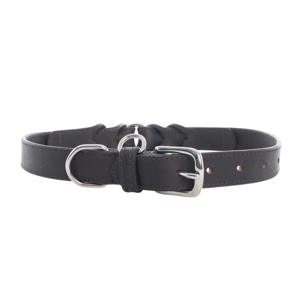 Topside Dog Collar in Ebony sold by Myra Bag
