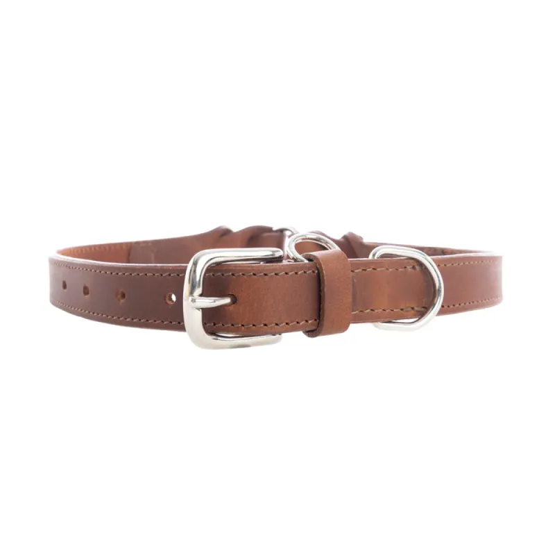 Topside Dog Collar in Chocolate sold by Myra Bag